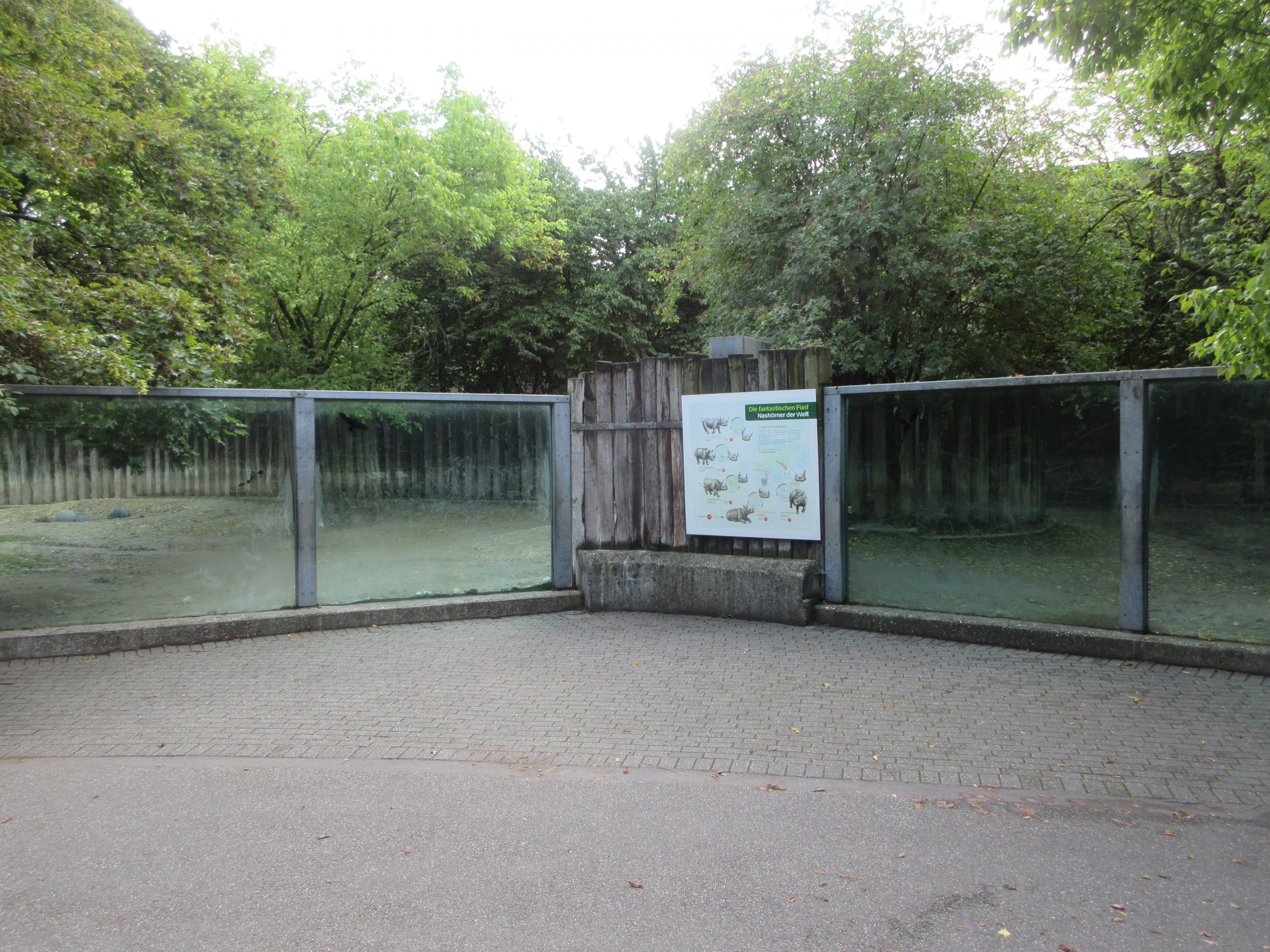 Black Rhino Exhibit (with glass!)