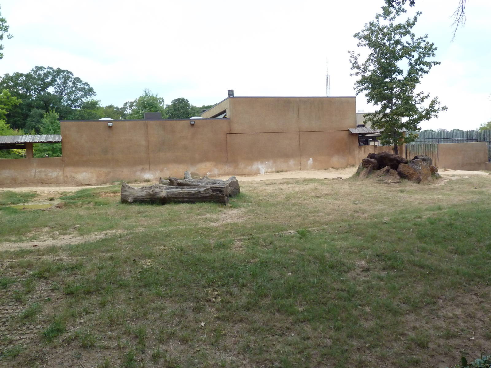 Black Rhino Exhibit