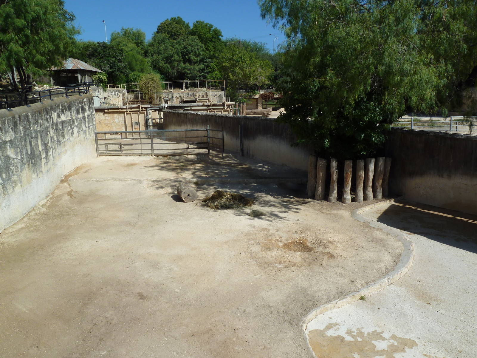 Black Rhino Exhibit
