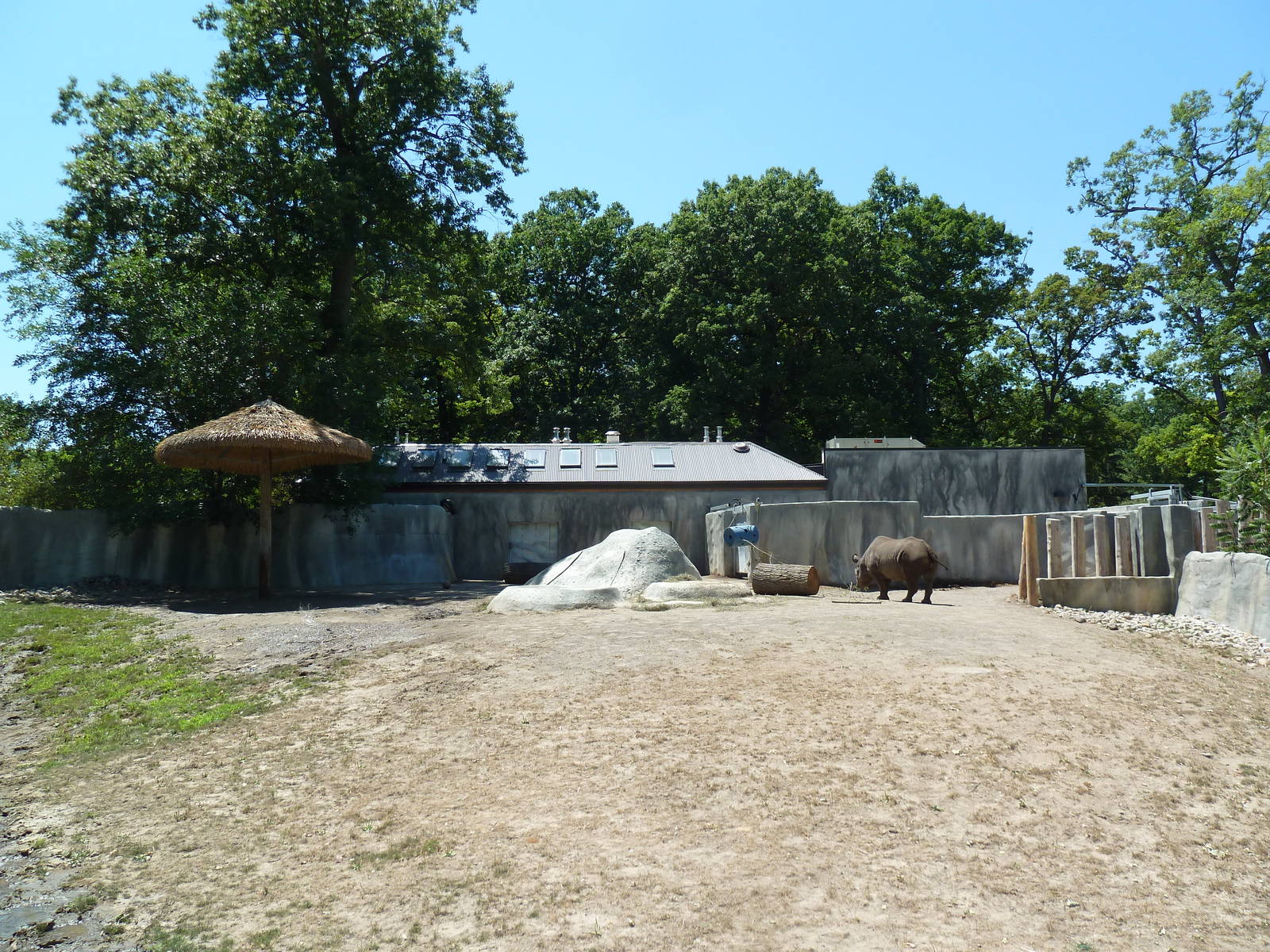 Black Rhino Exhibit