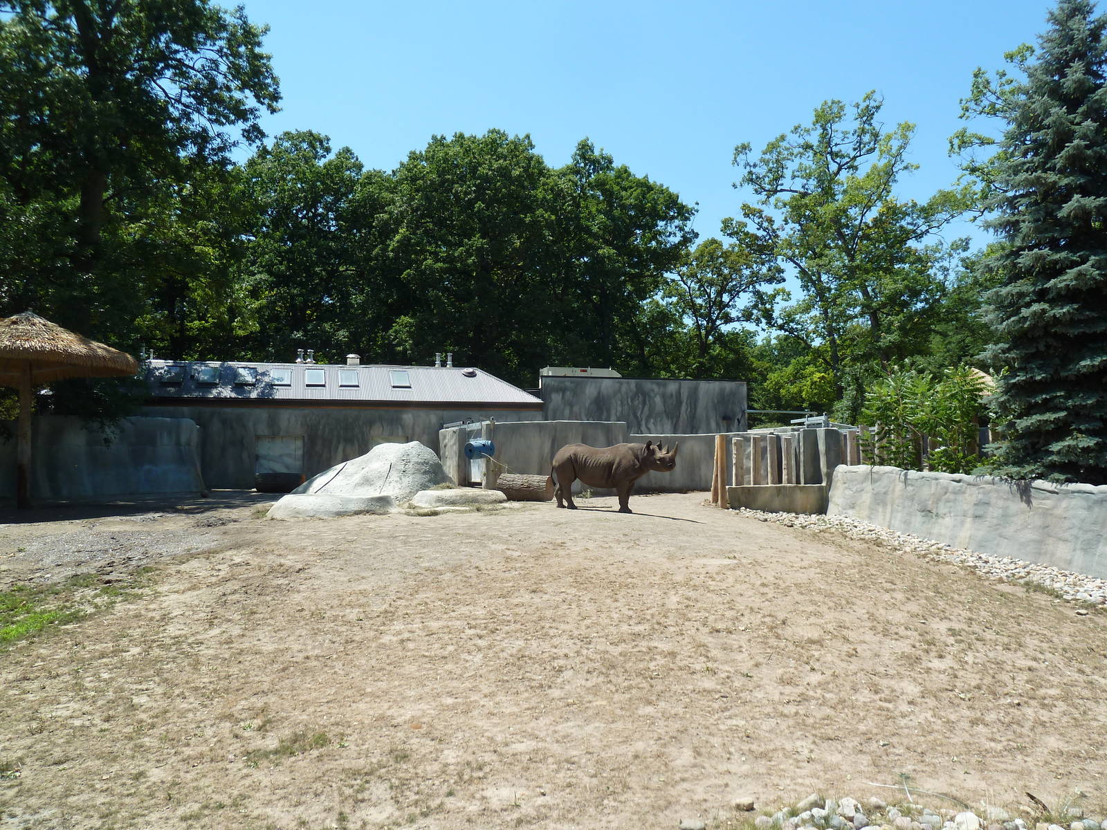 Black Rhino Exhibit