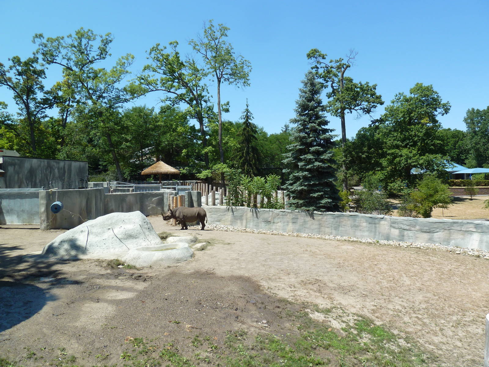 Black Rhino Exhibit