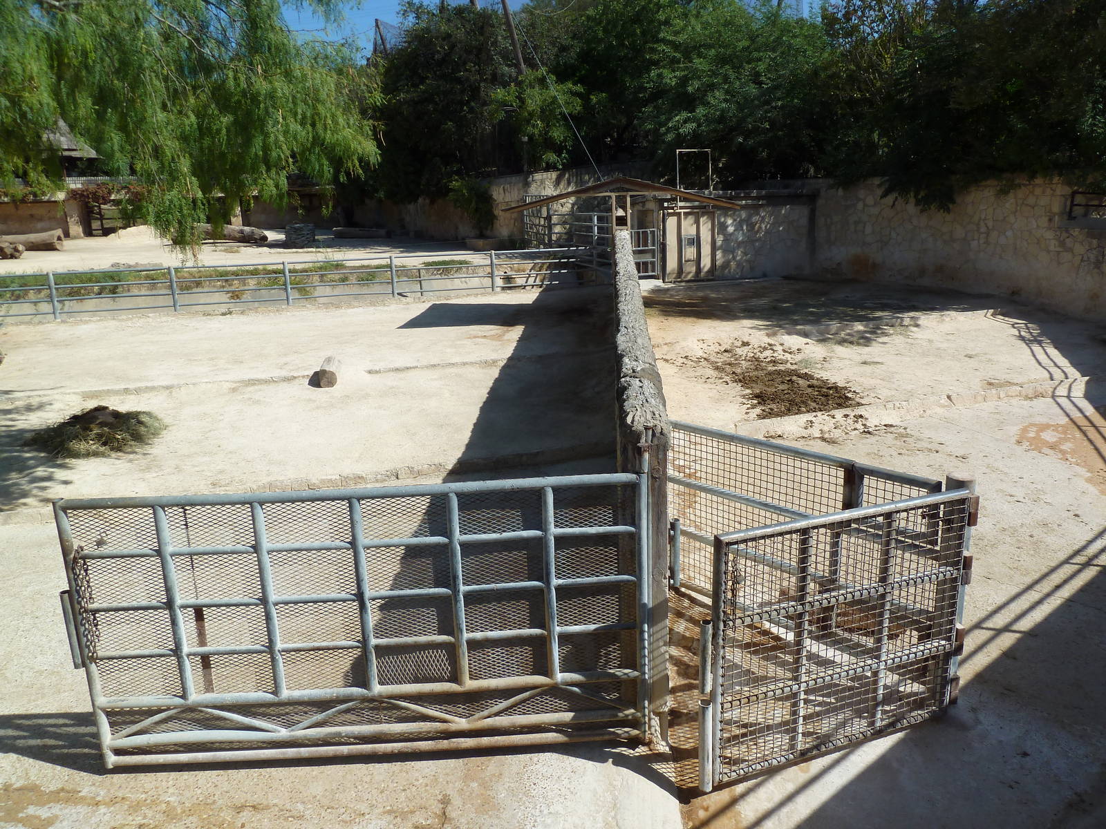 Black Rhino Exhibits
