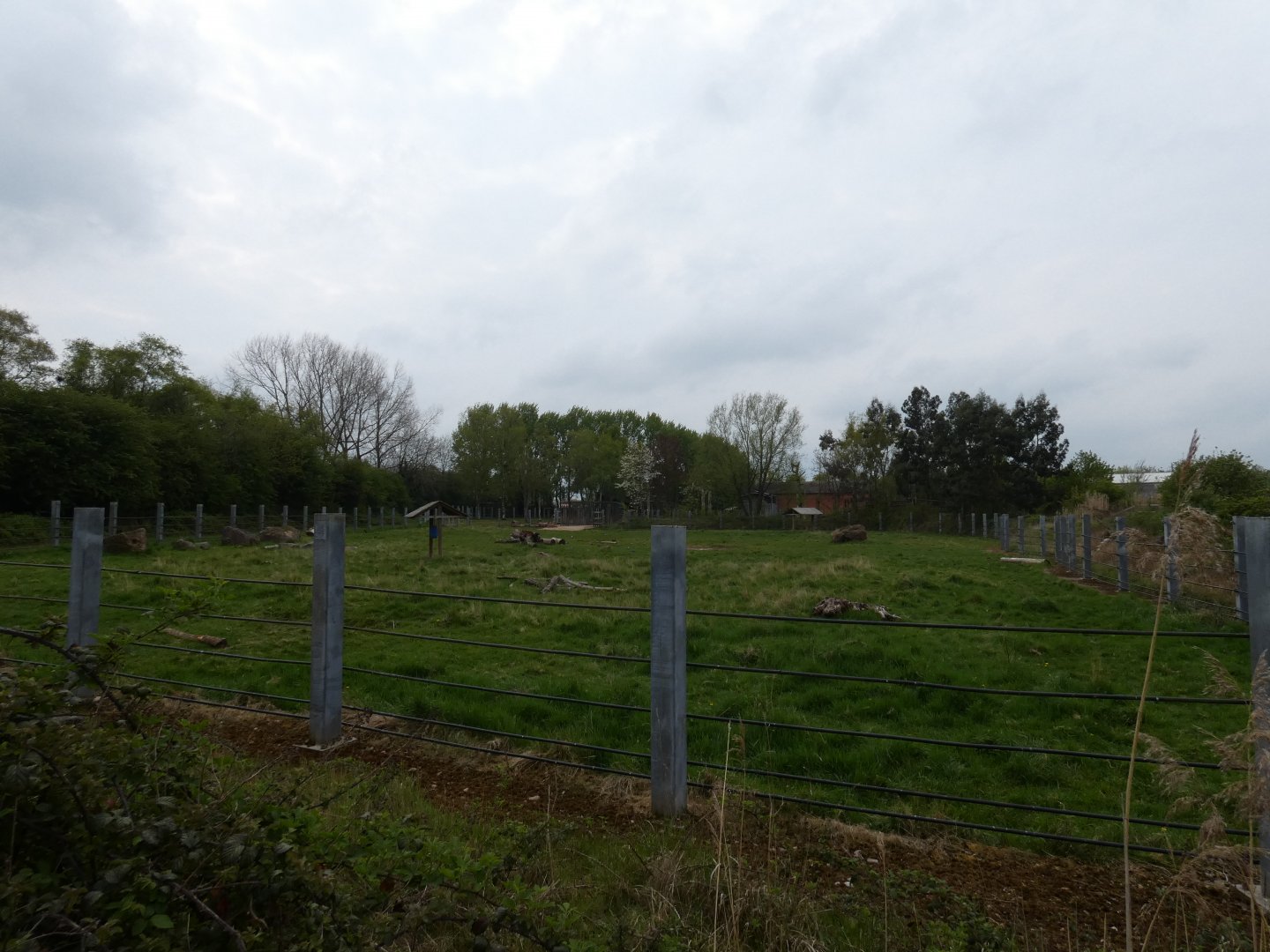 Black rhino grass paddock