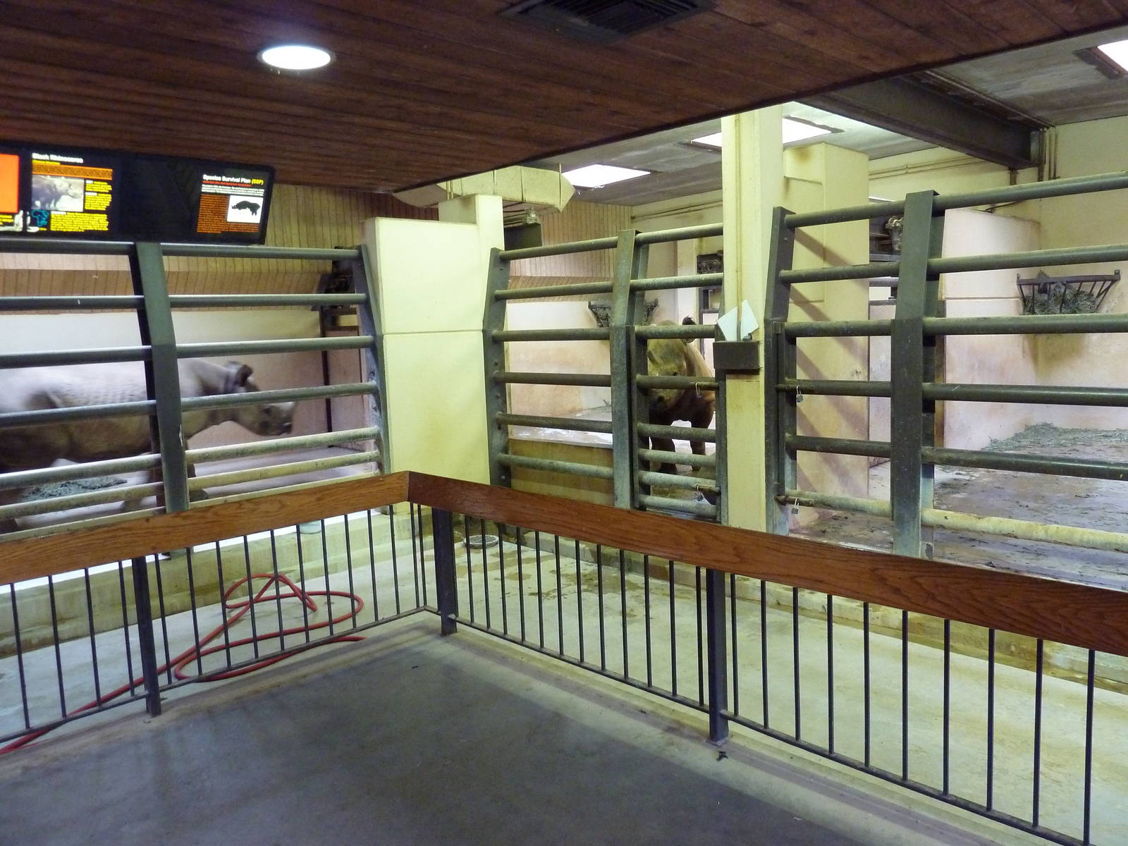 Black Rhino Holding Stalls