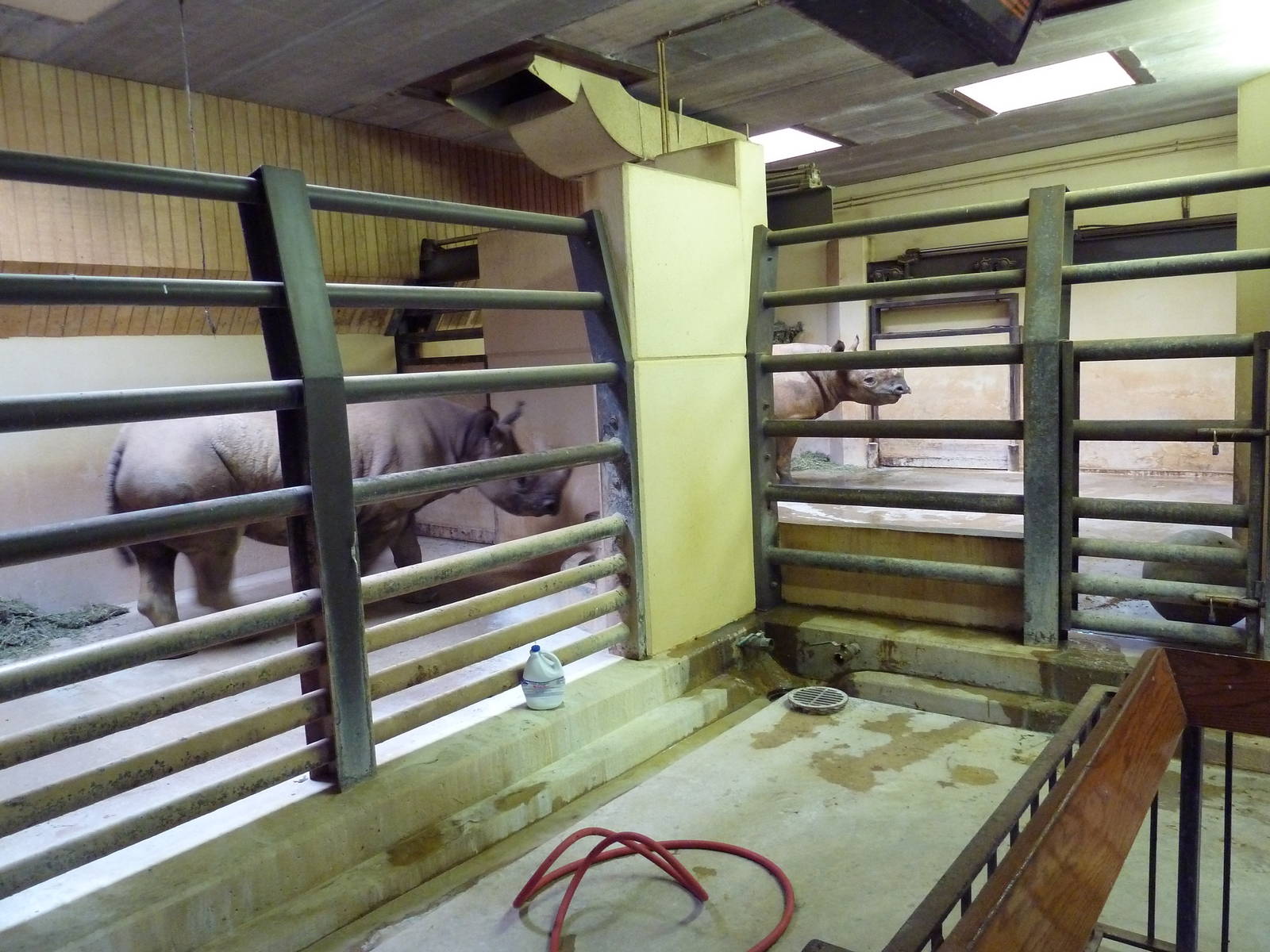 Black Rhino Holding Stalls