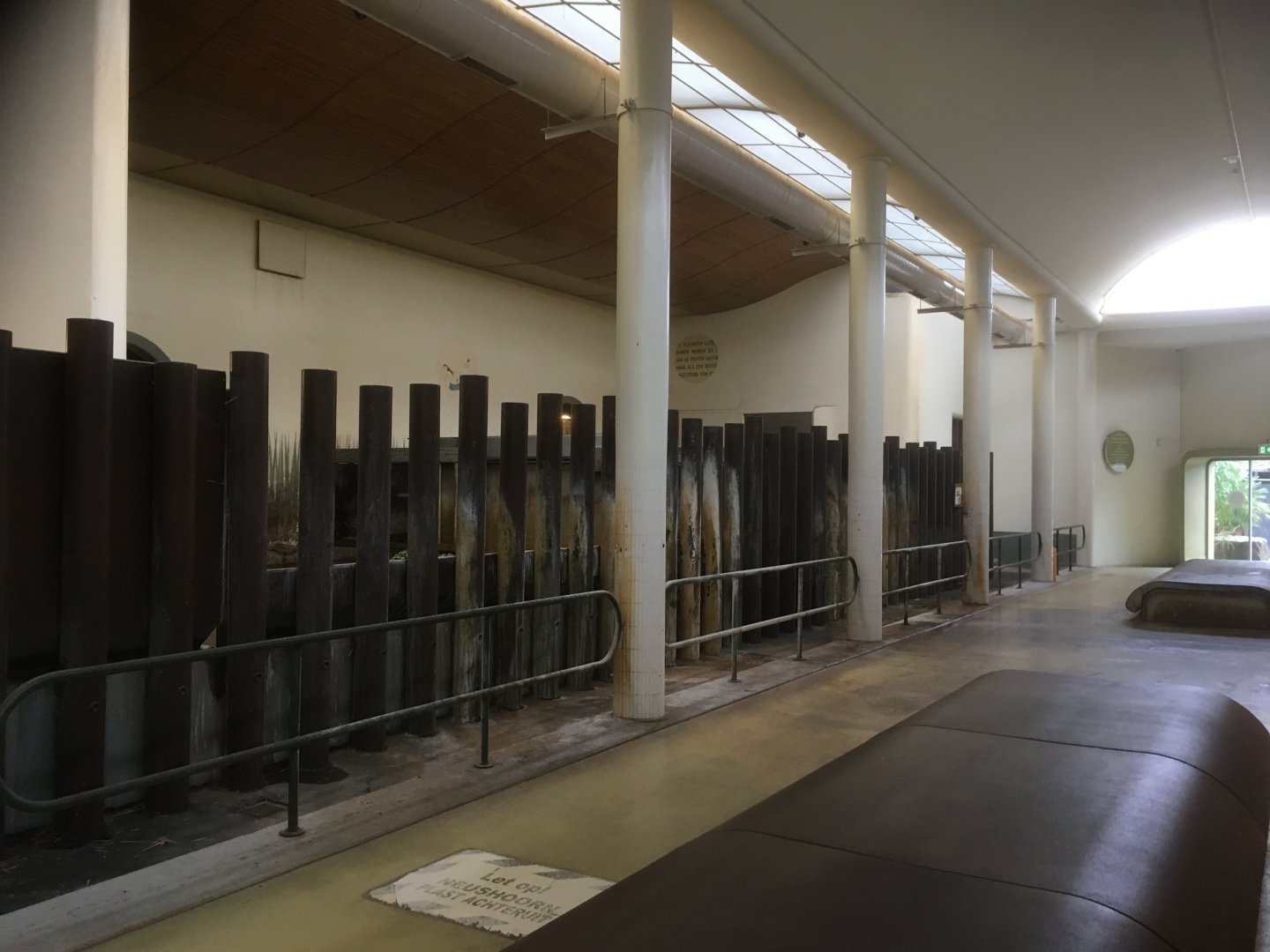 Black rhino indoor area