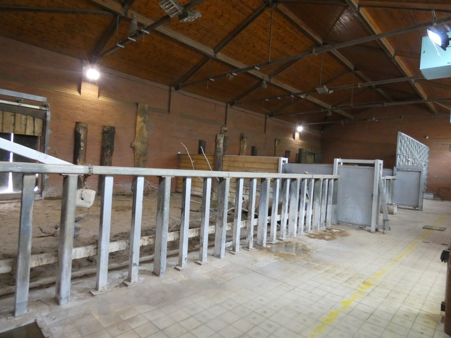 Black rhino indoor area