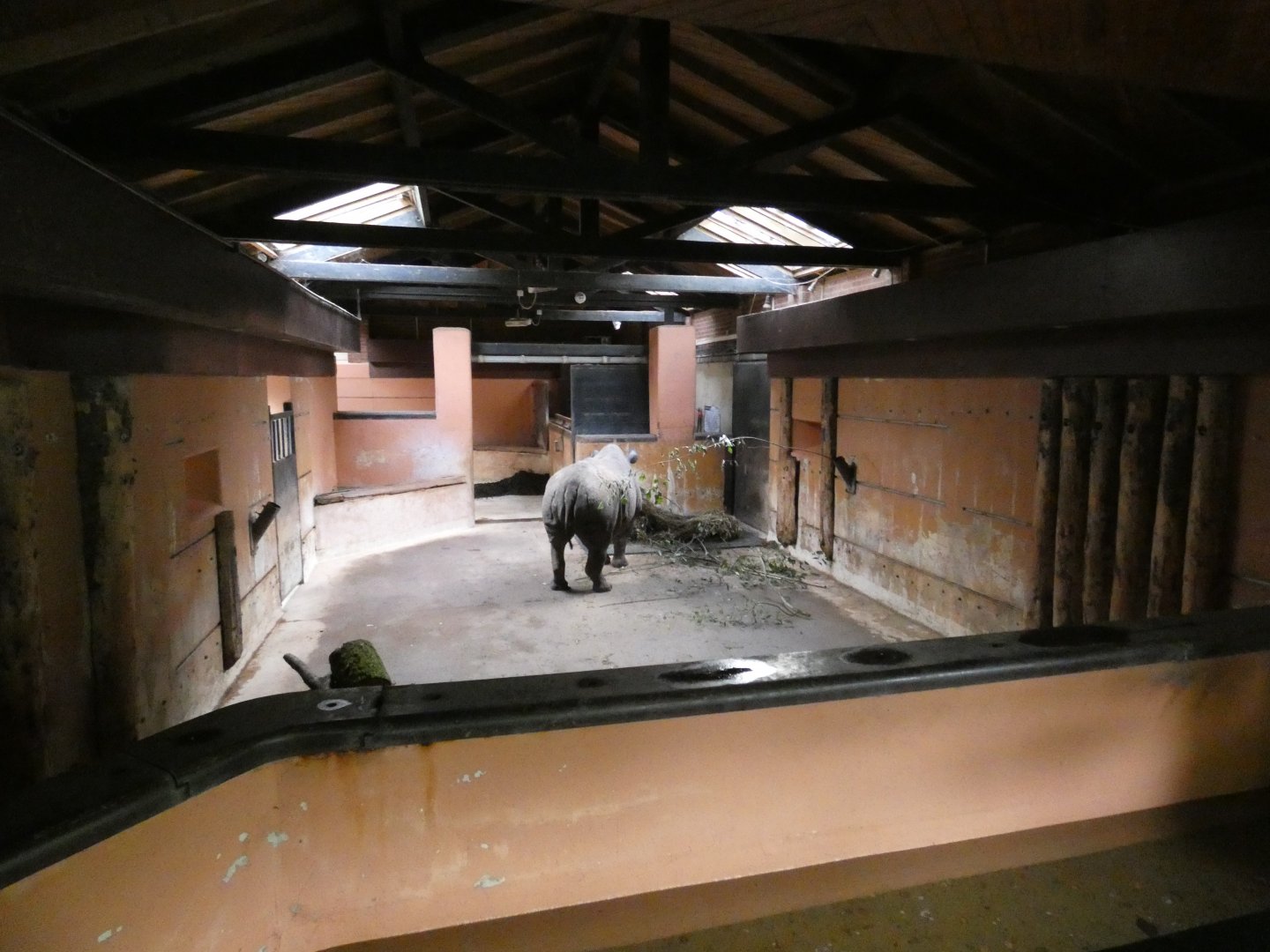 Black Rhino indoor enclosure