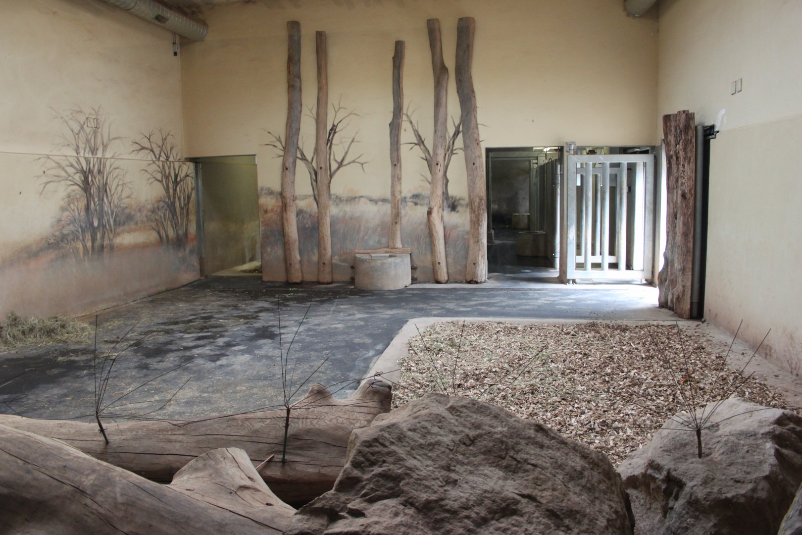 Black rhino on-show stable