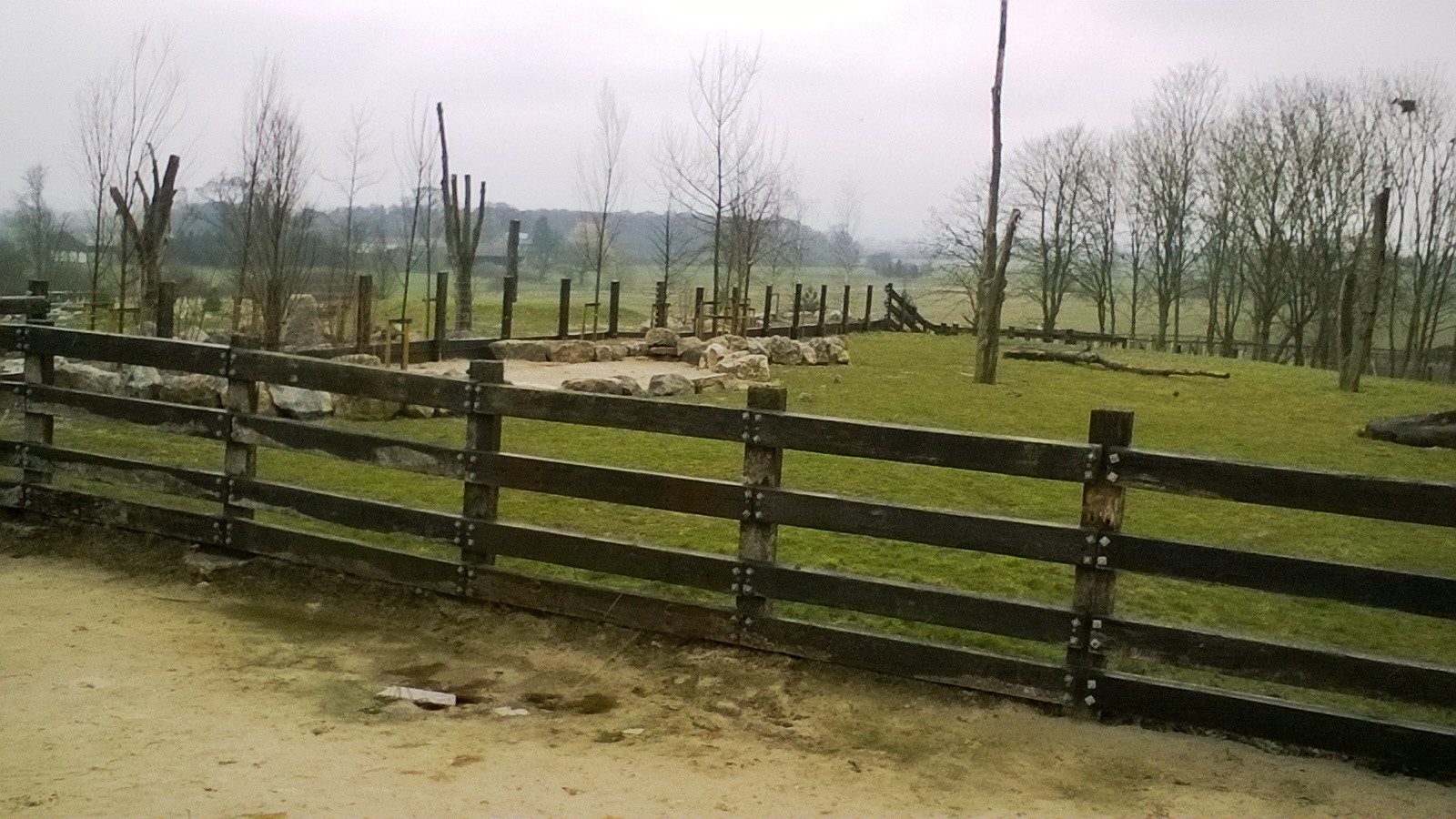 Black Rhino Outdoor Enclosure 02-Apr-16