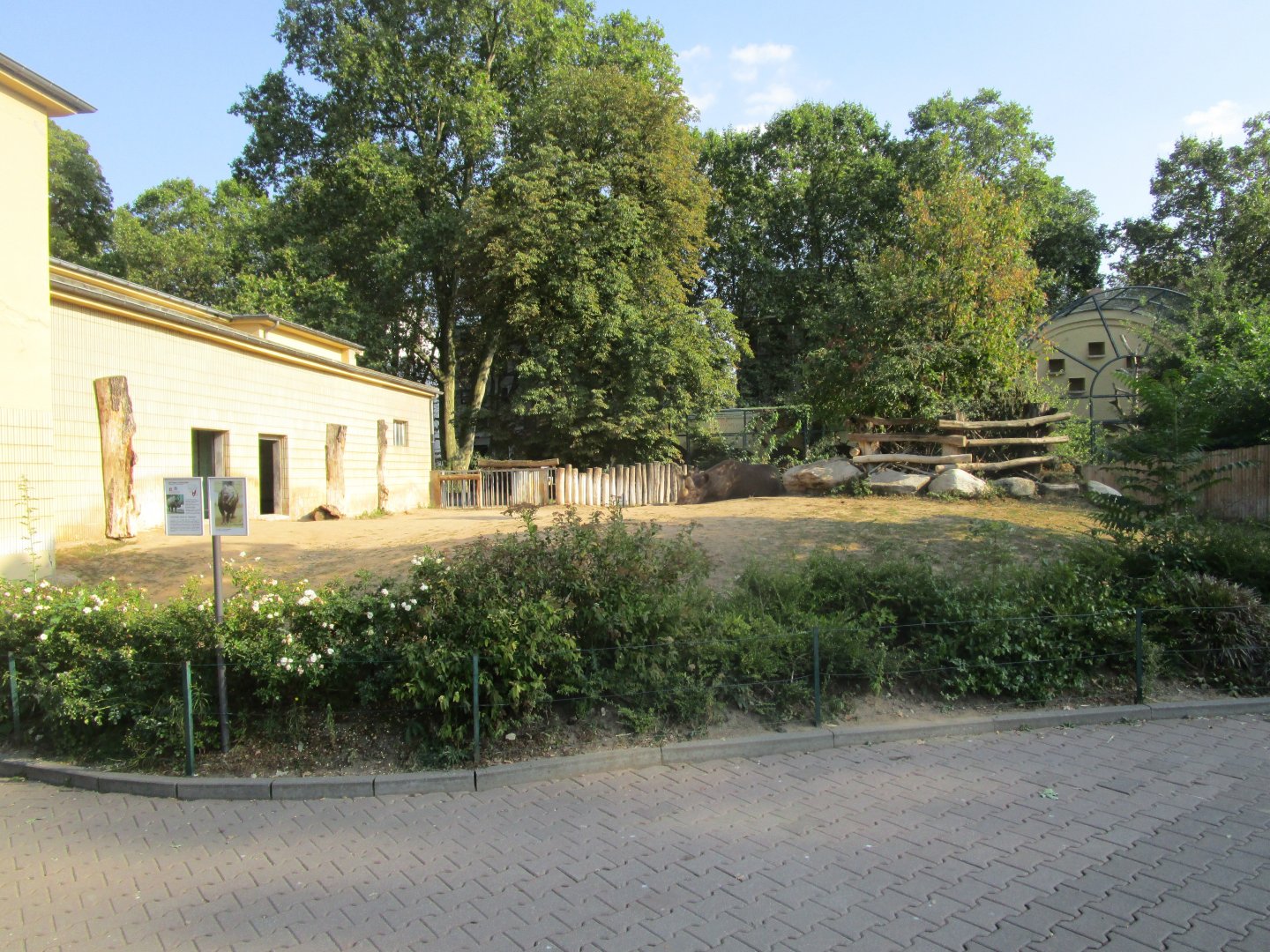 Black Rhino Outdoor Exhibit
