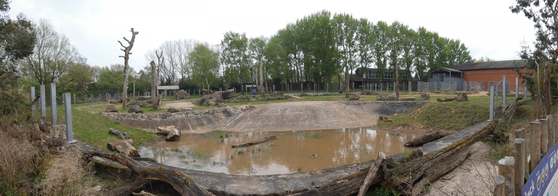 Black rhino outdoor panorama