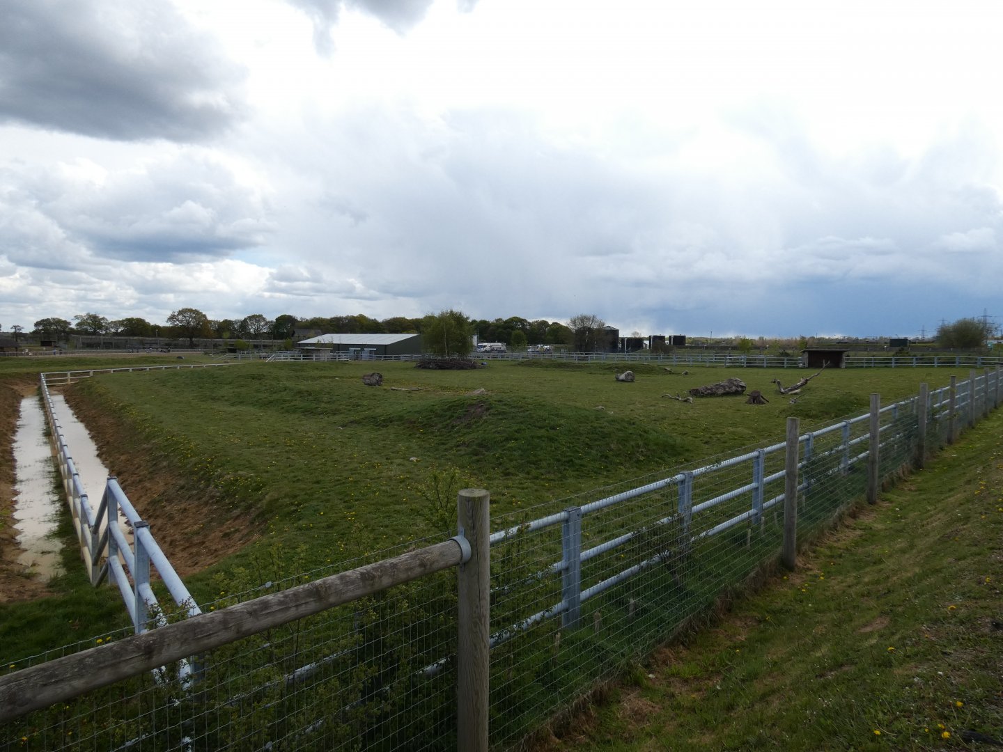Black rhino paddock (2)