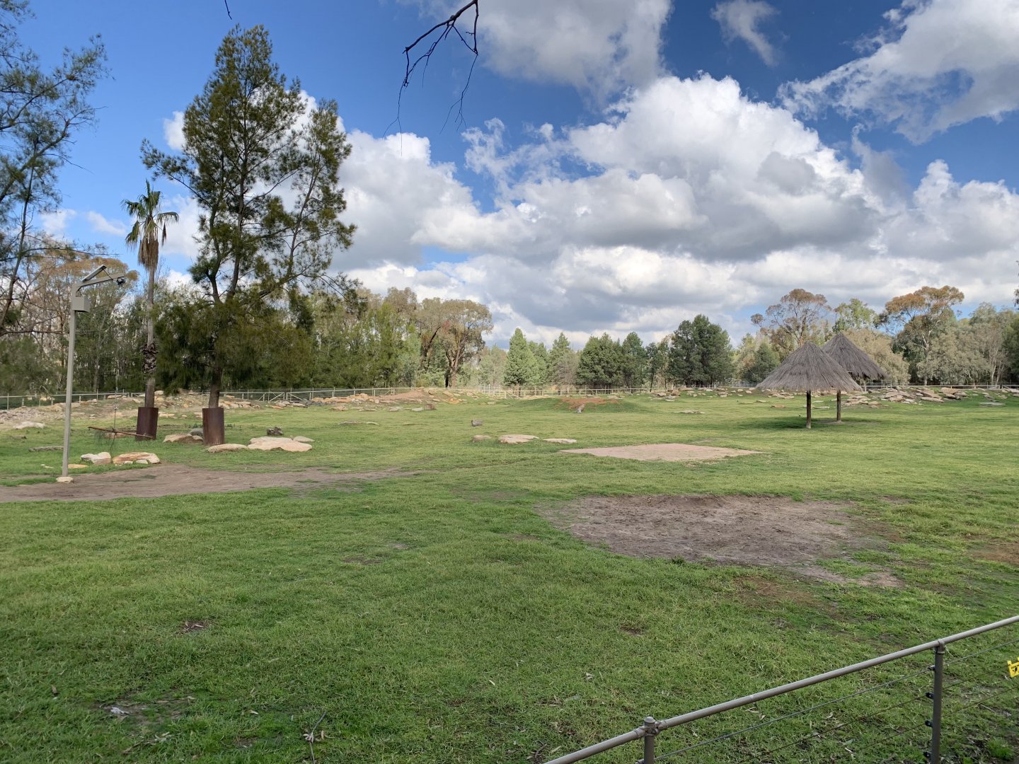 Black Rhino Paddock