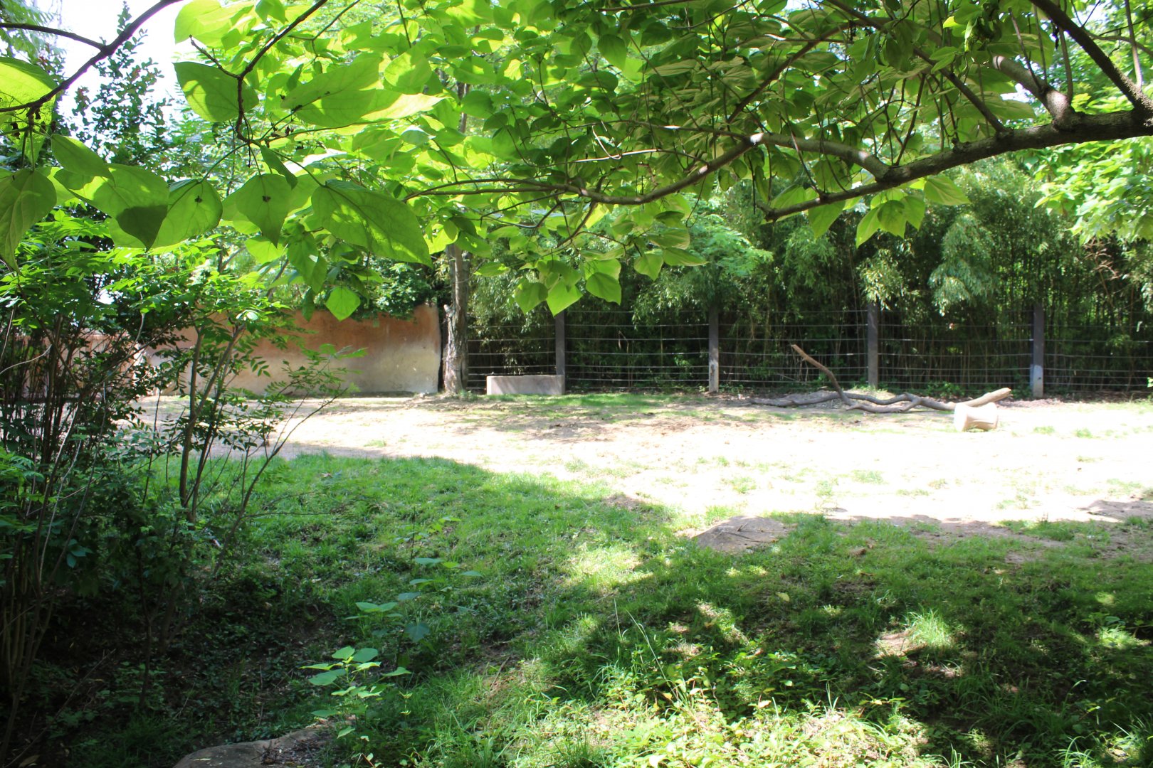 Black Rhino & Sacred Ibis Exhibit - Rivers Edge
