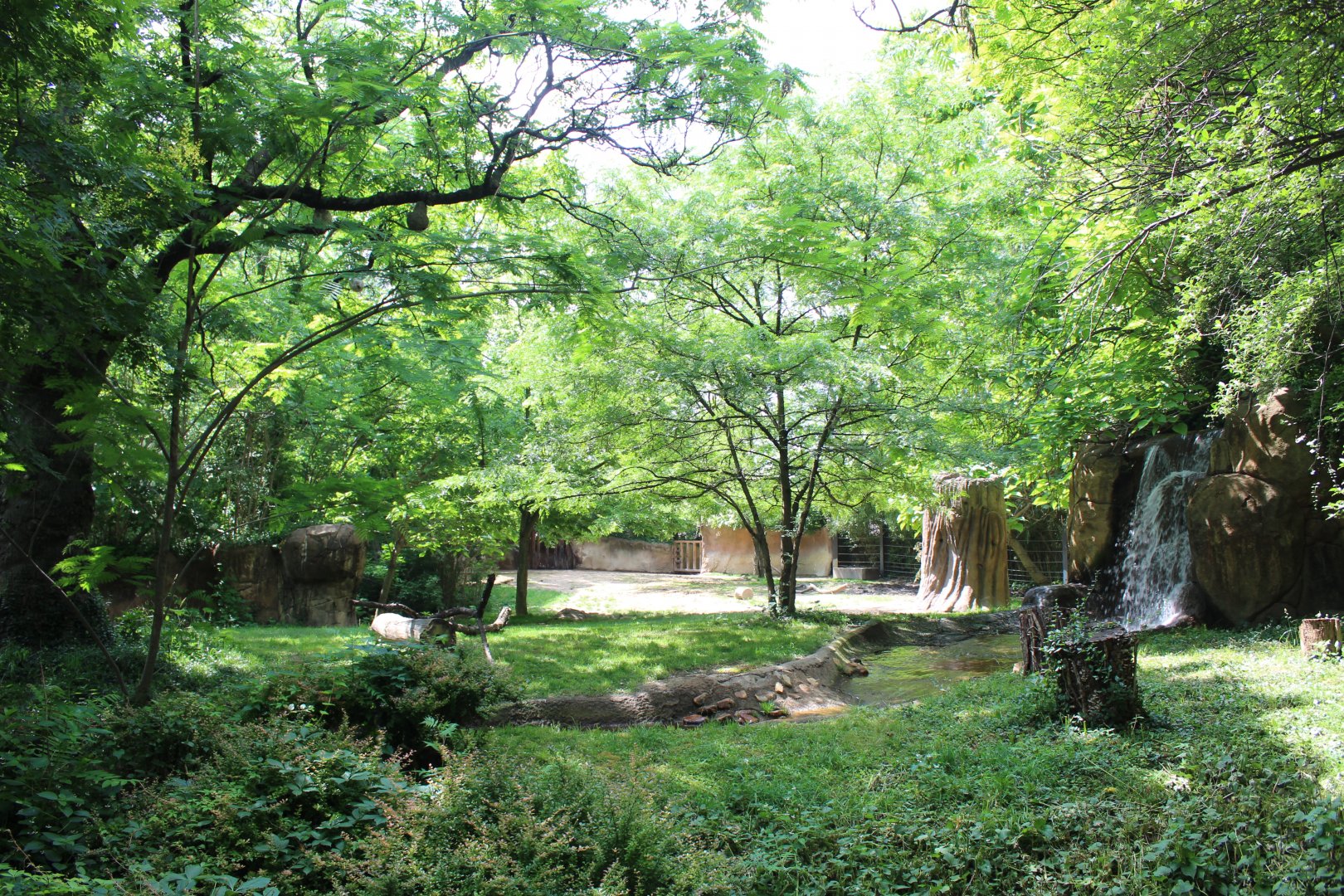 Black Rhino & Sacred Ibis Exhibit - Rivers Edge