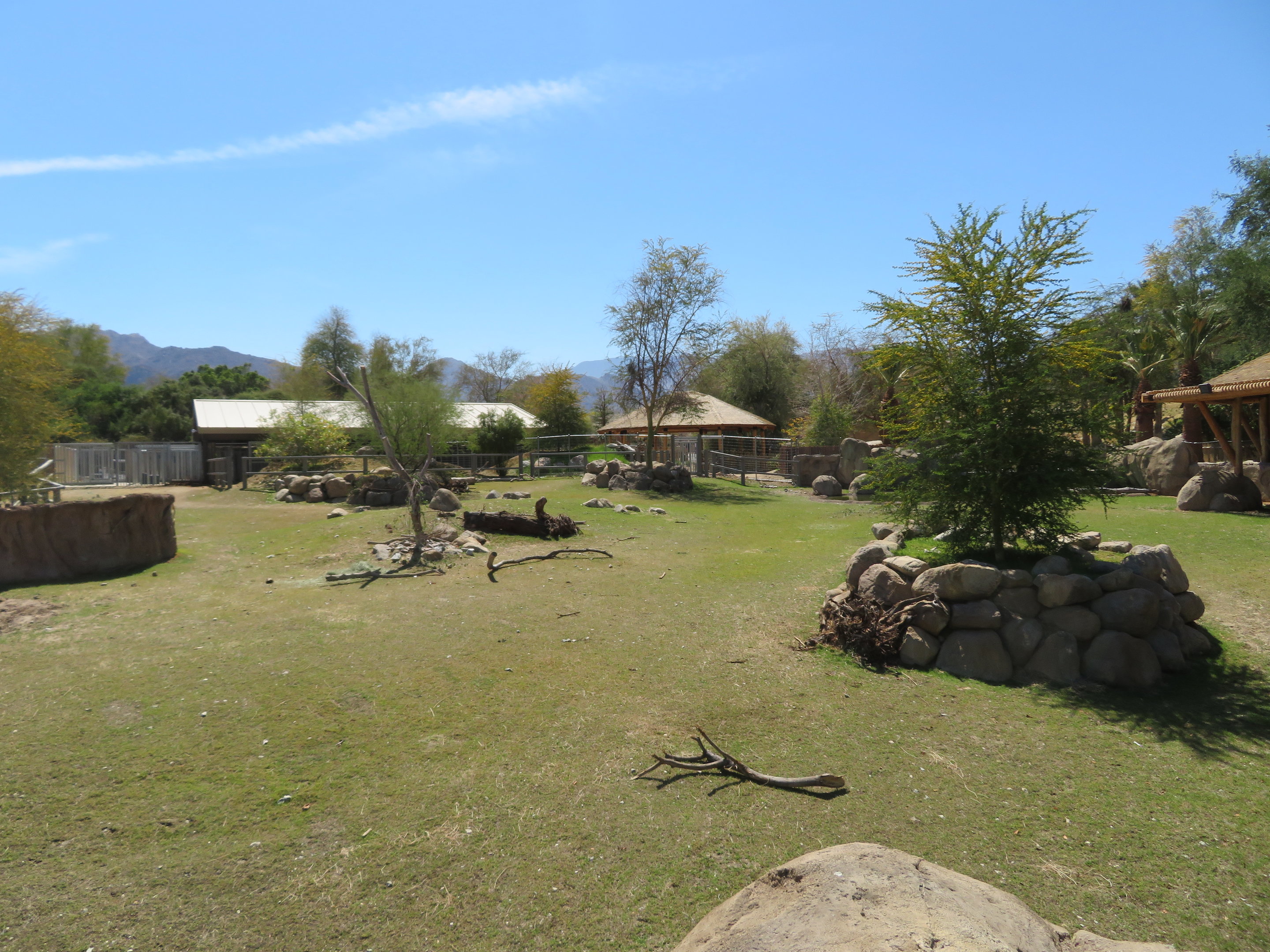 Black Rhino Savanna 1