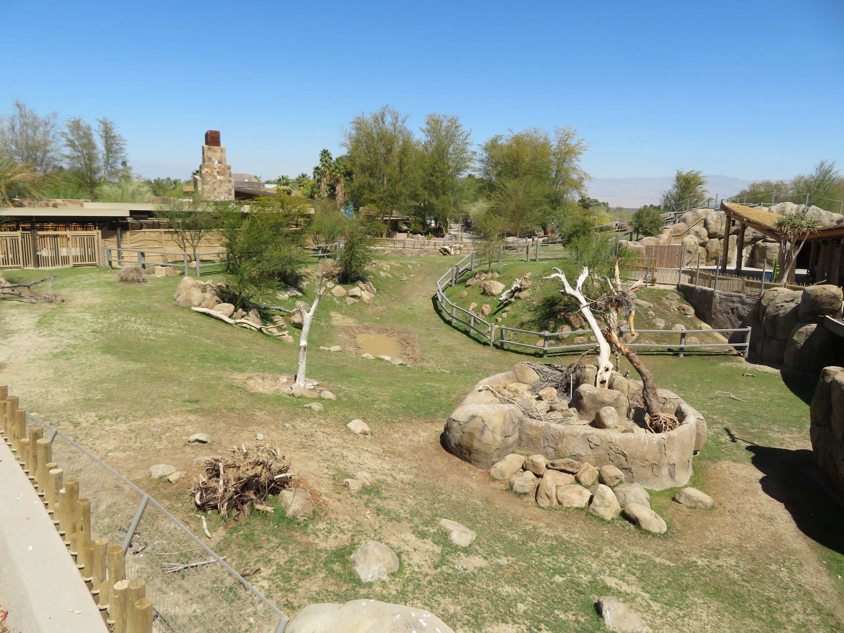 Black Rhino Savanna 2