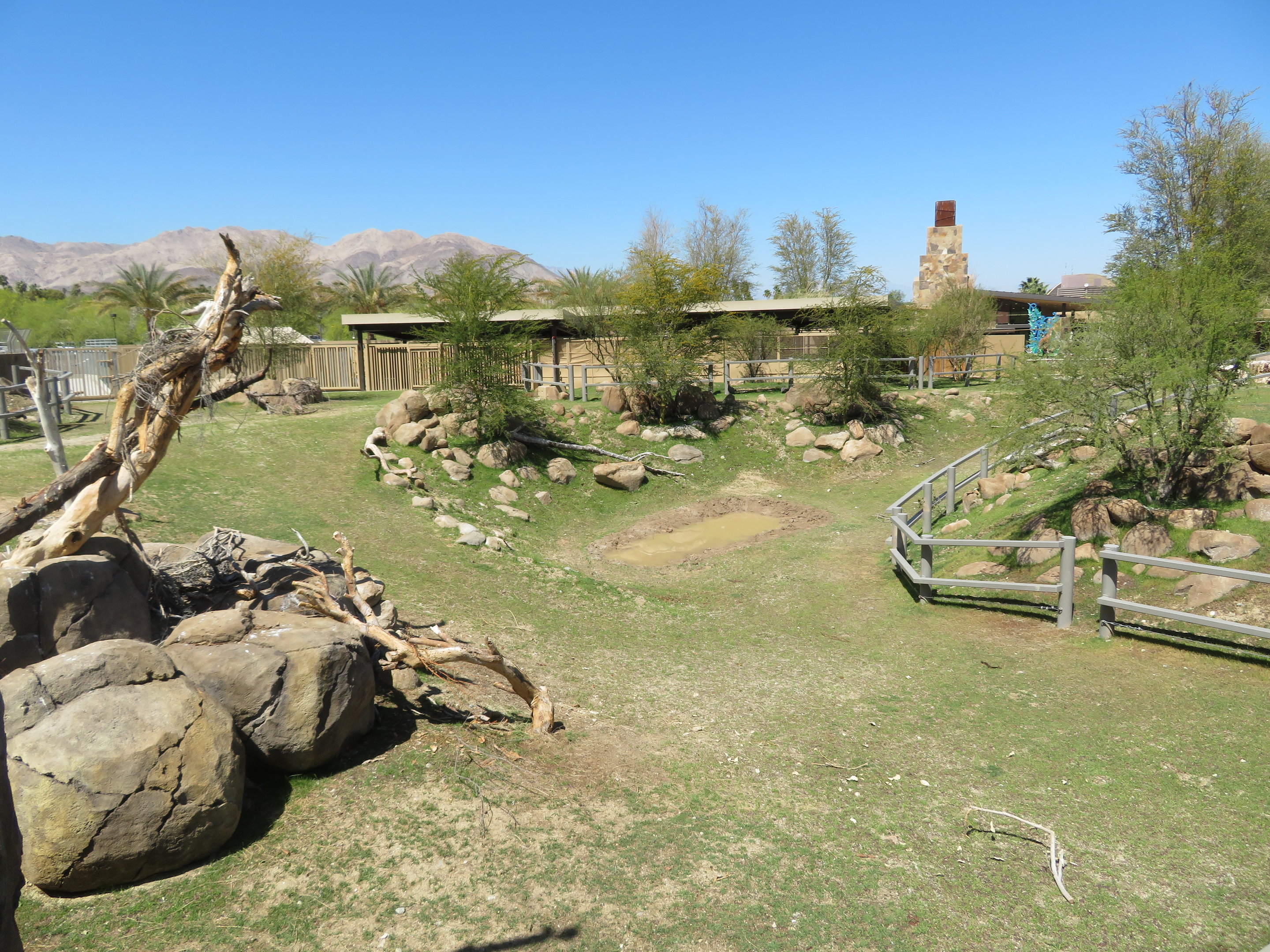 Black Rhino Savanna 2