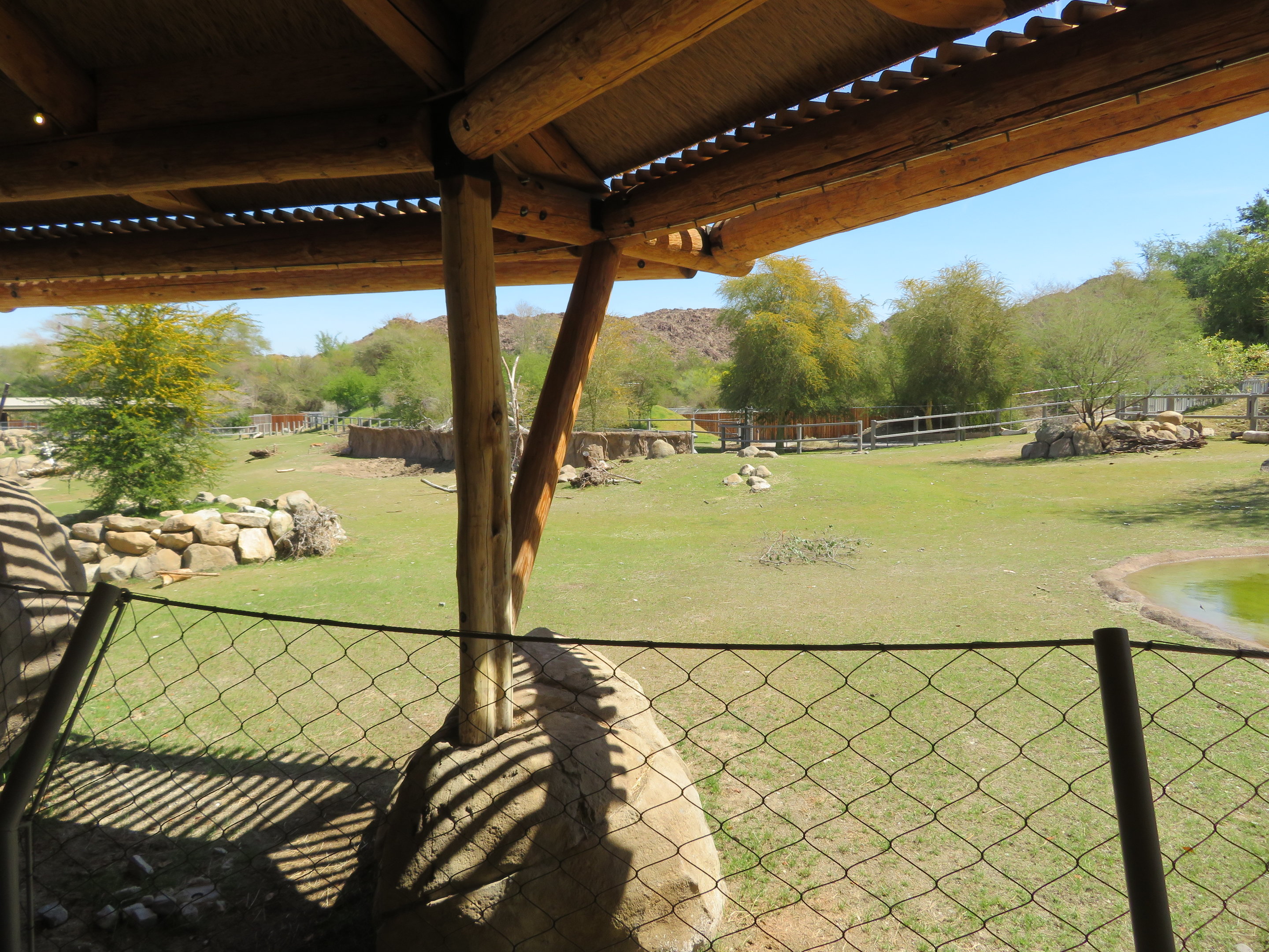 Black Rhino Savanna from Hut