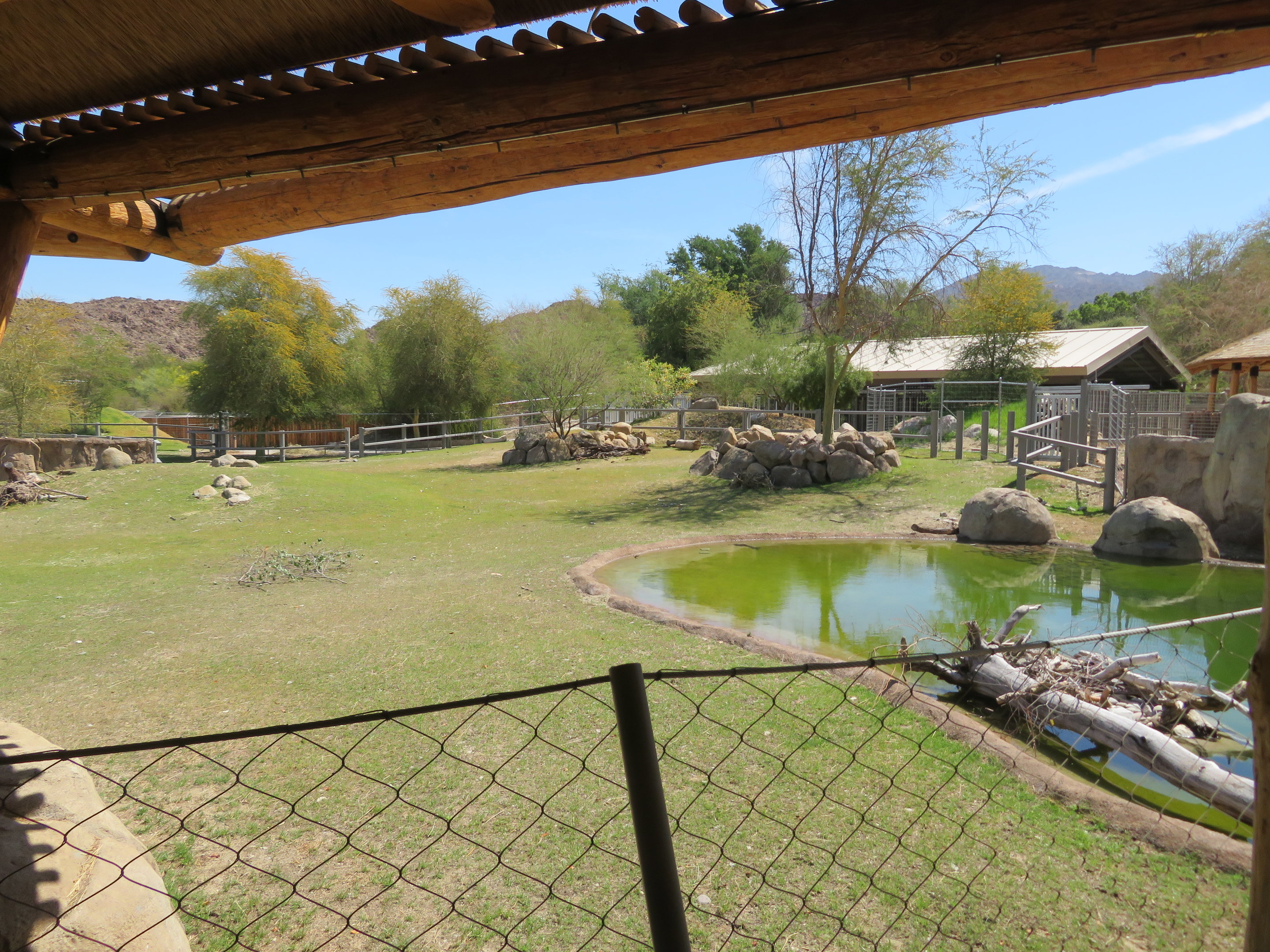 Black Rhino Savanna from Hut