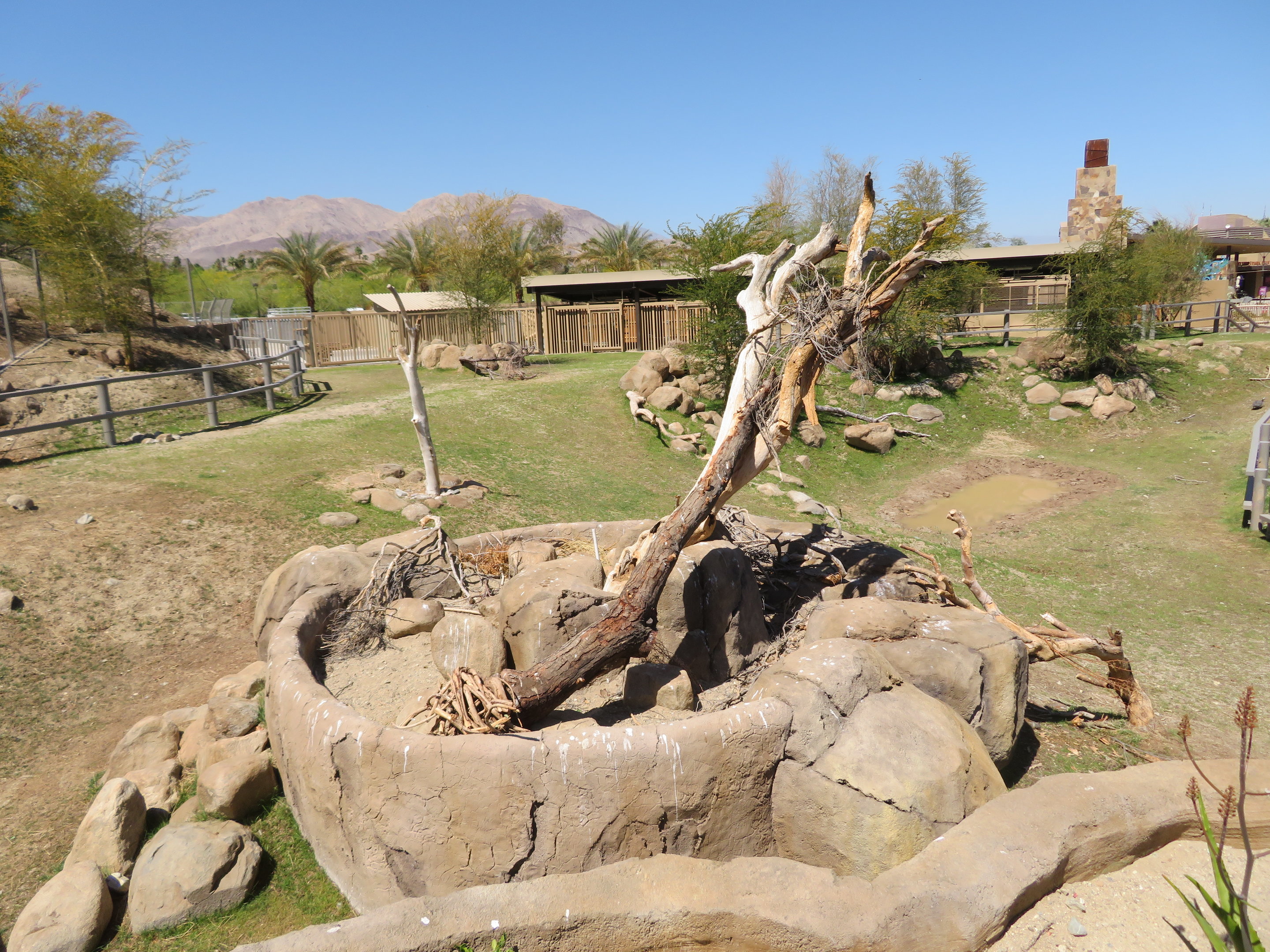 Black Rhino Savanna Island