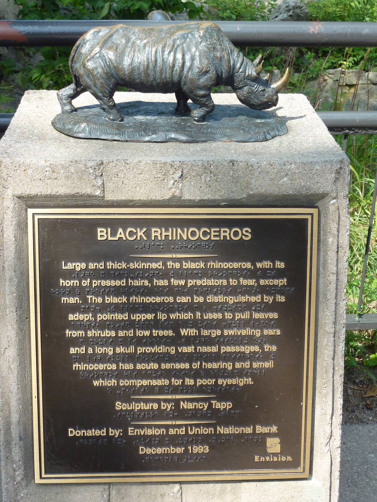Black Rhino Statue