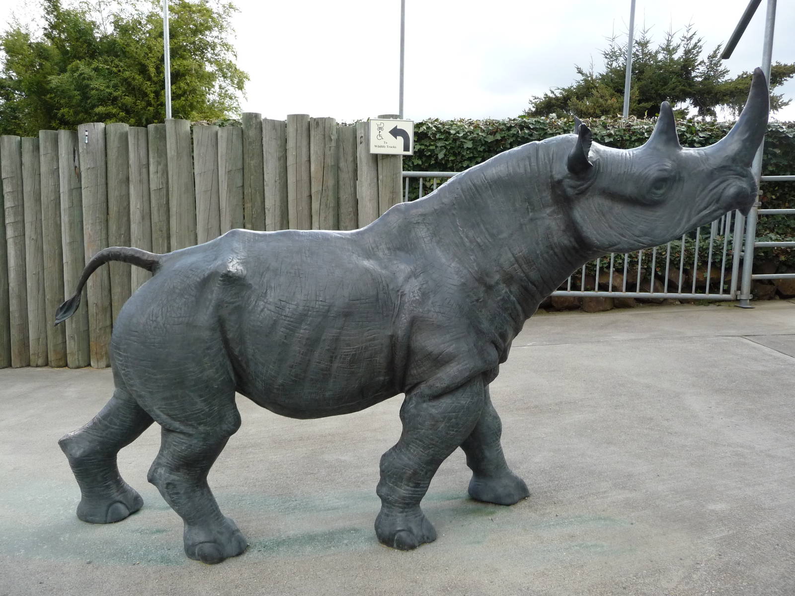 Black Rhino Statue