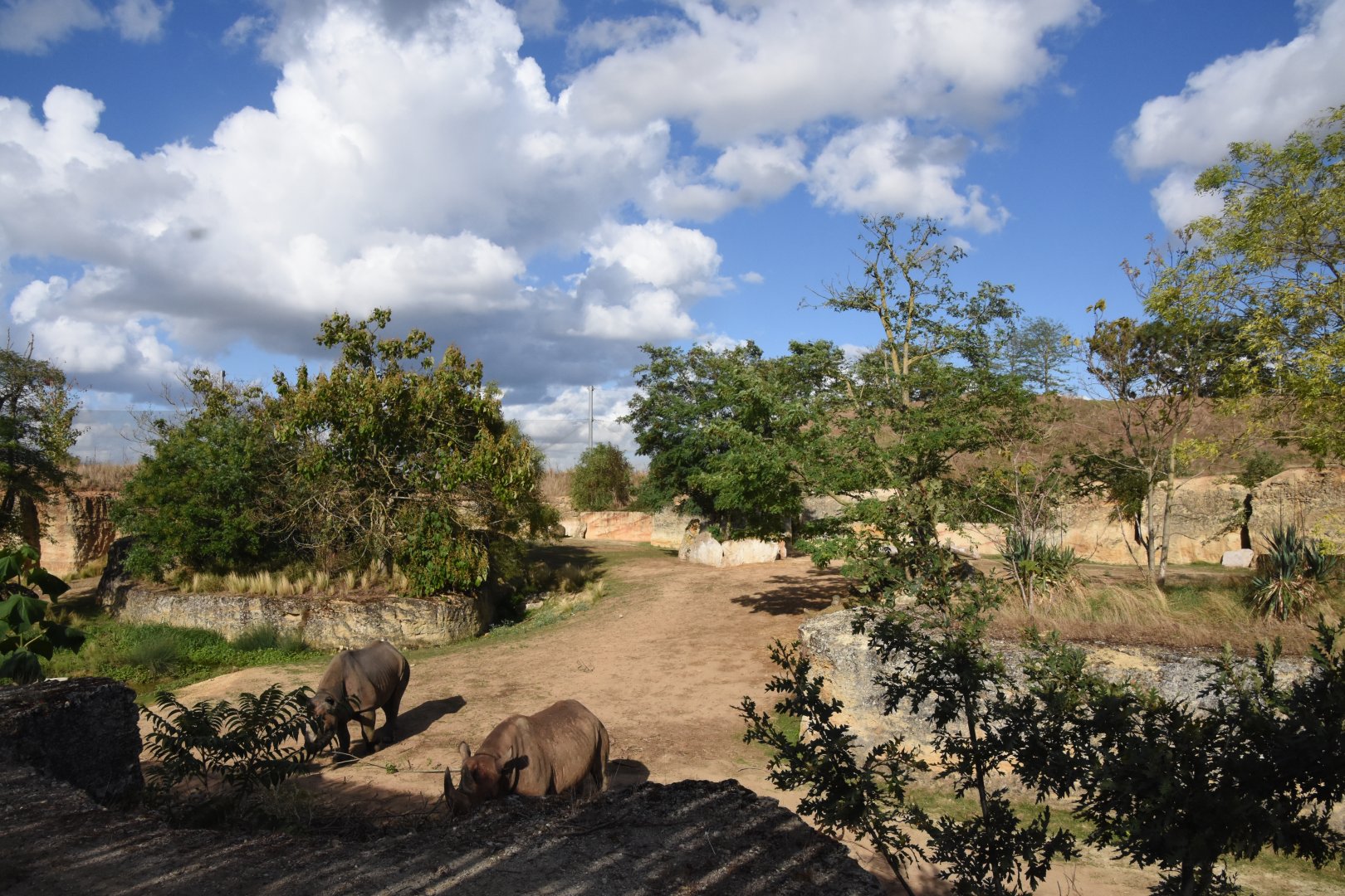 Black Rhino valley