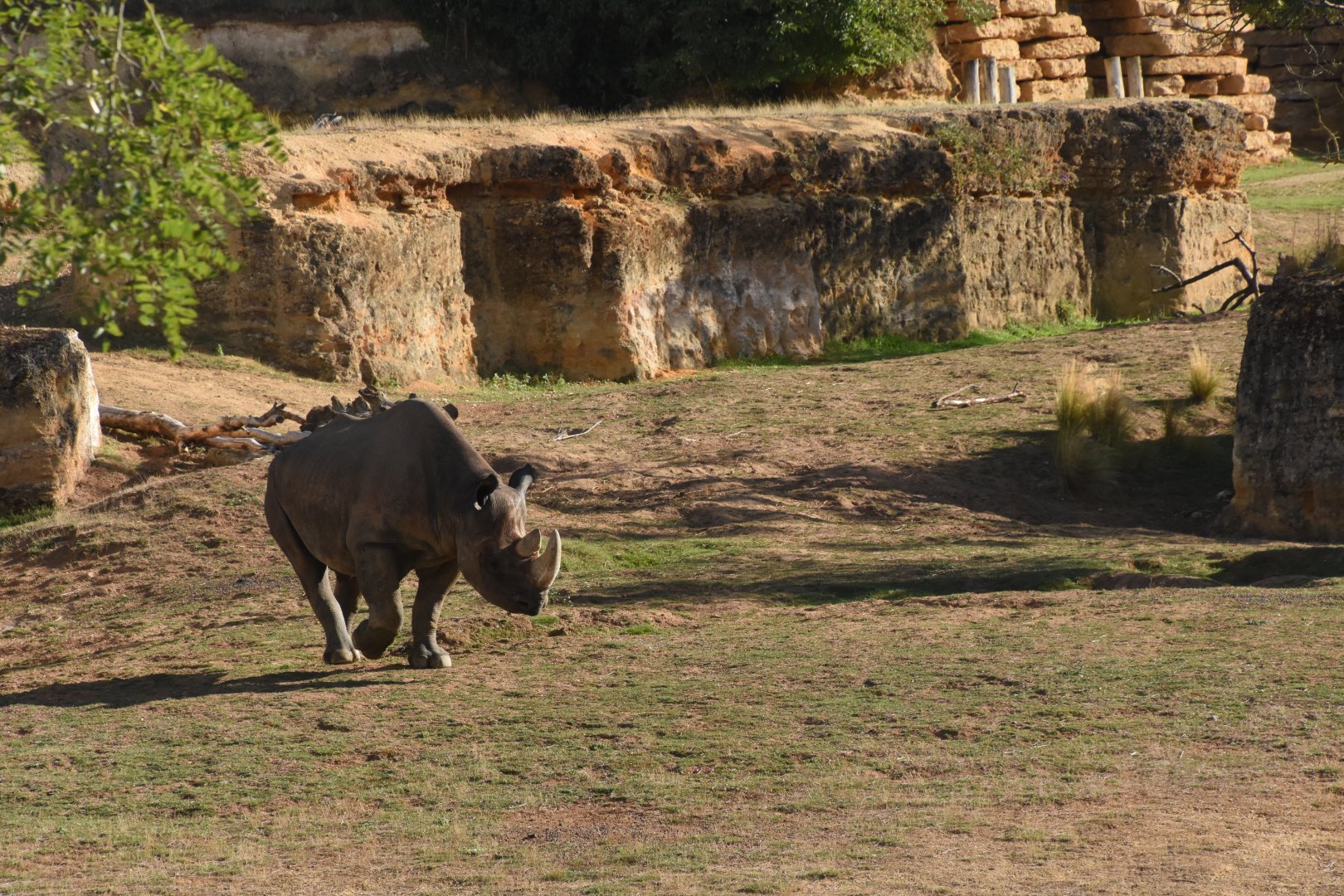 Black Rhino valley