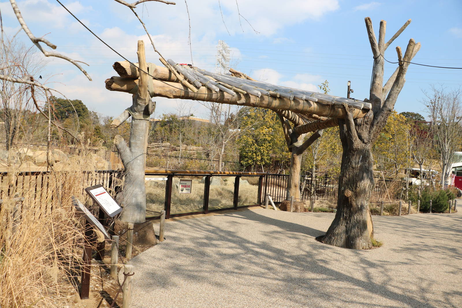 Black rhino viewing area, February 2016