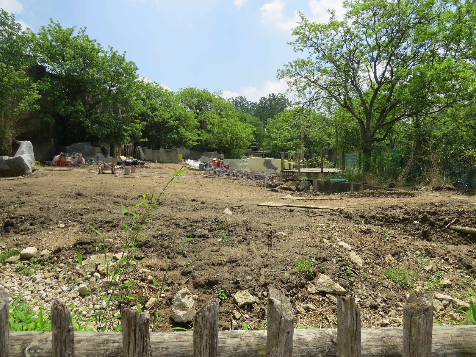 Black Rhino Yard Renovation