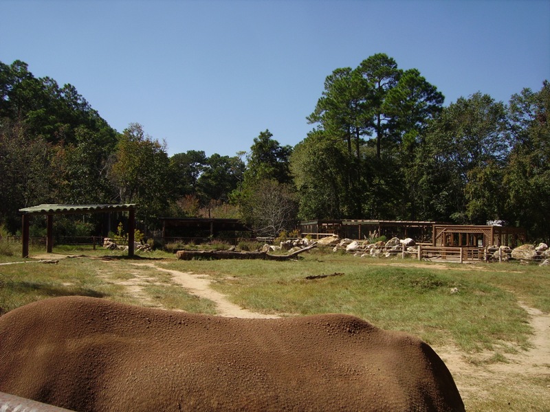 Black Rhino Yard