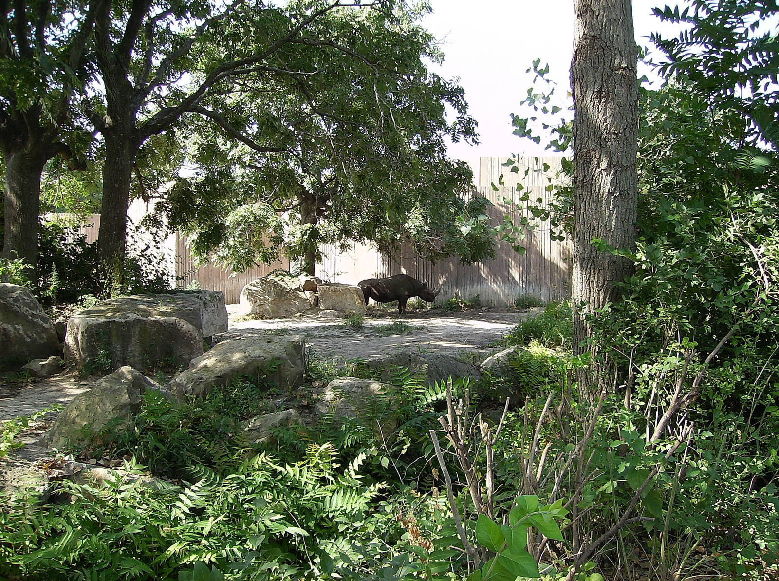 Black Rhino Yard