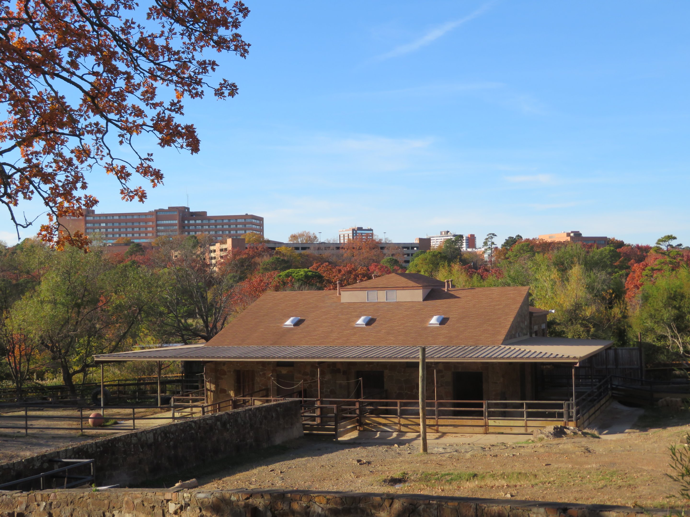 Black Rhino Yards & Skyline