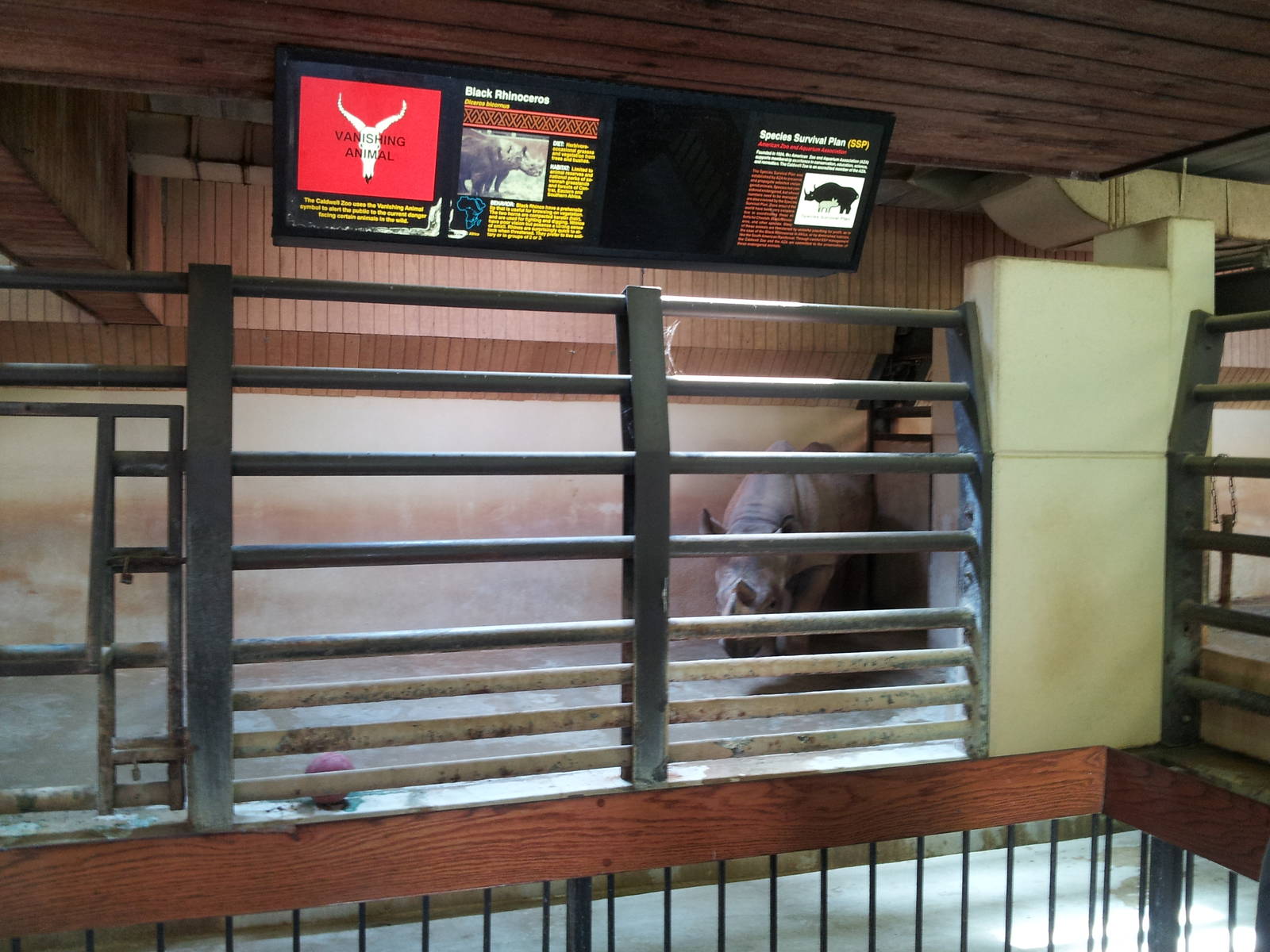 Black Rhinoceros Barn