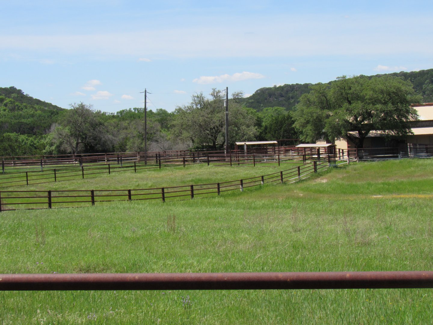 Black Rhinoceros Complex