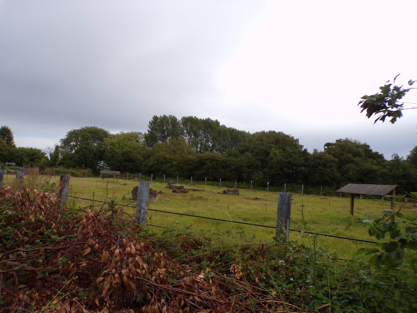 Black rhinoceros enclosure 7.7.24