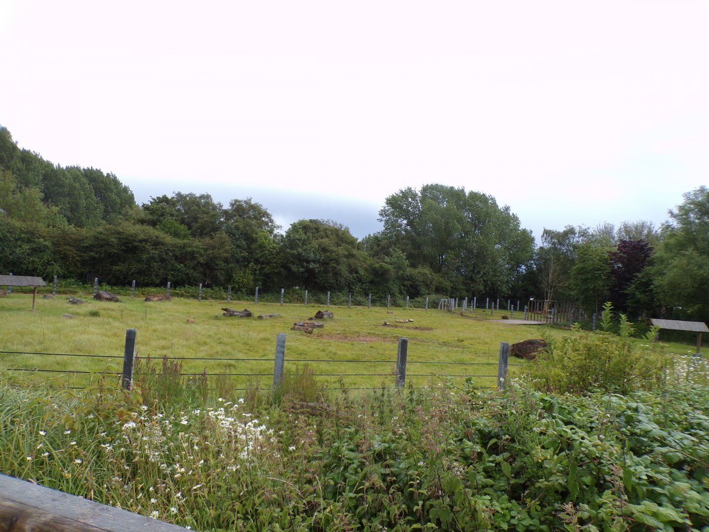 Black rhinoceros enclosure 7.7.24