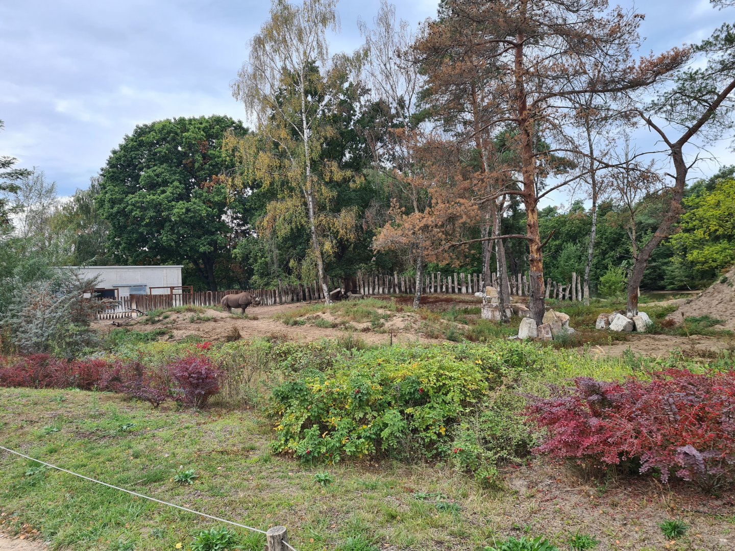 Black rhinoceros enclosure