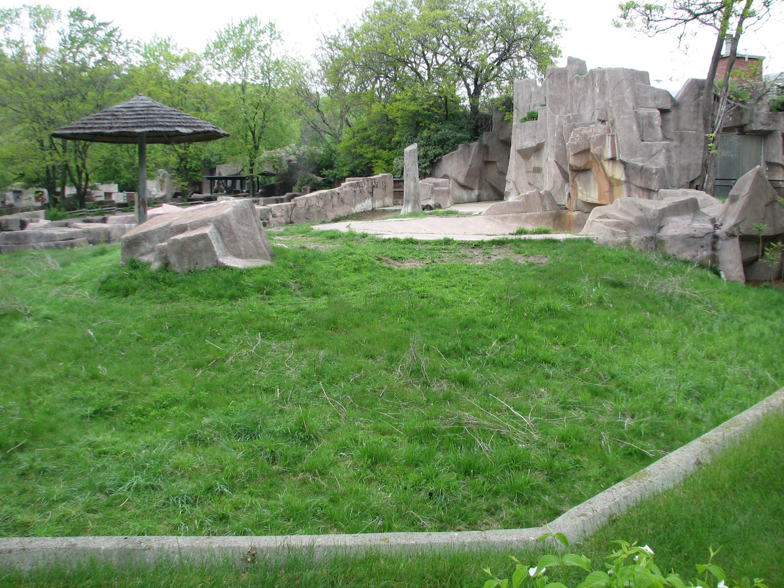 Black Rhinoceros Exhibit 2