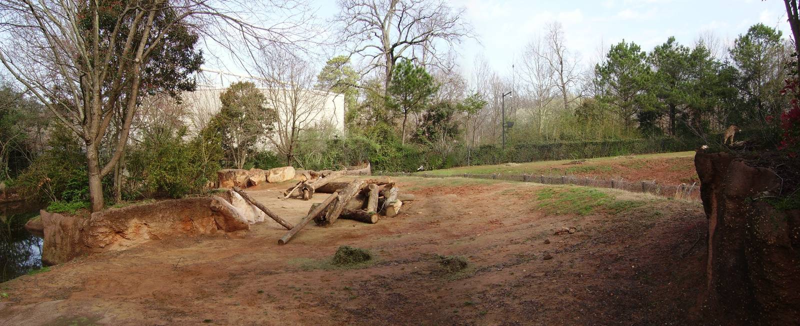 Black Rhinoceros Exhibit - Masai Mara