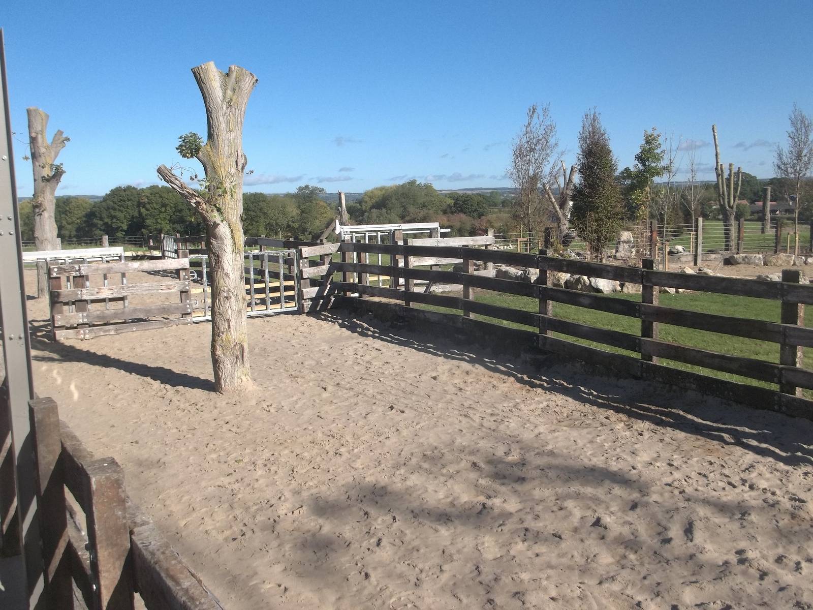 Black Rhinoceros exhibit open, 8th October 2015