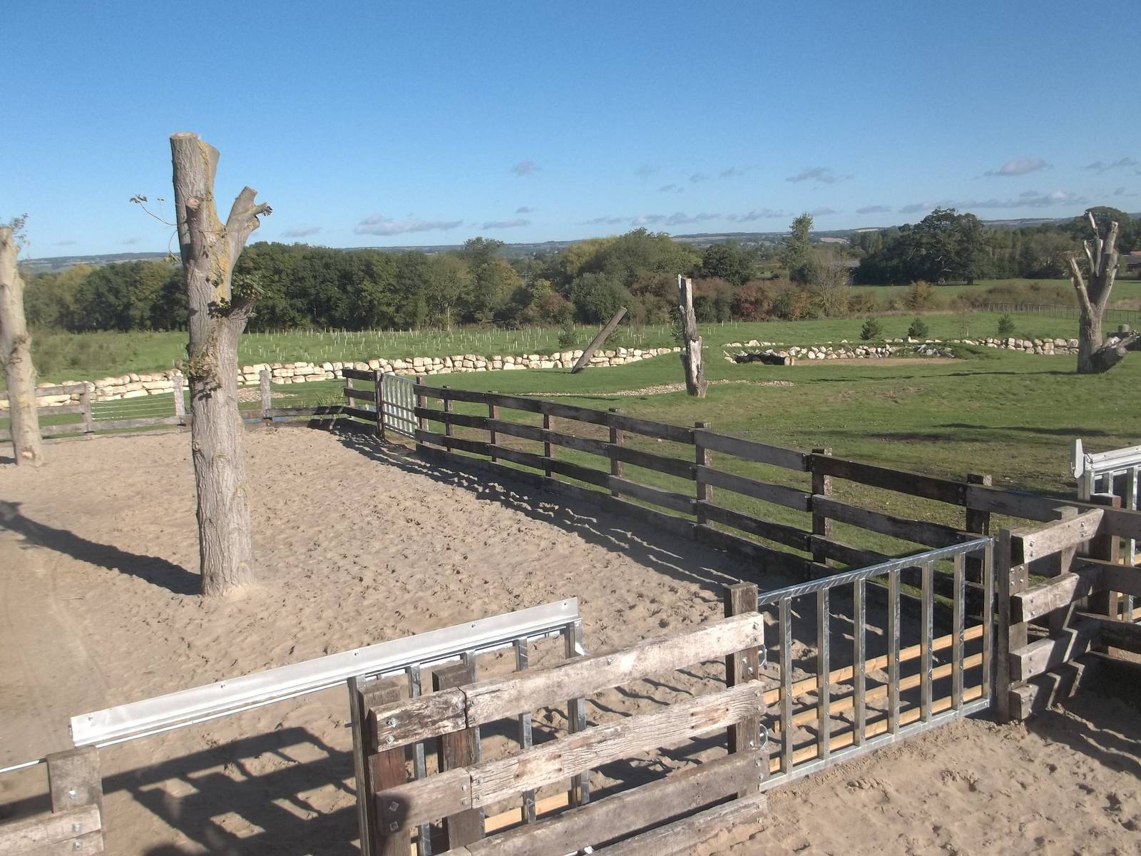 Black Rhinoceros exhibit open, 8th October 2015