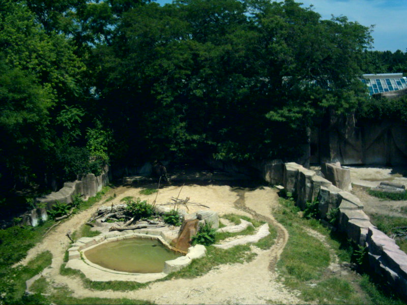 Black Rhinoceros Exhibit Overview #2