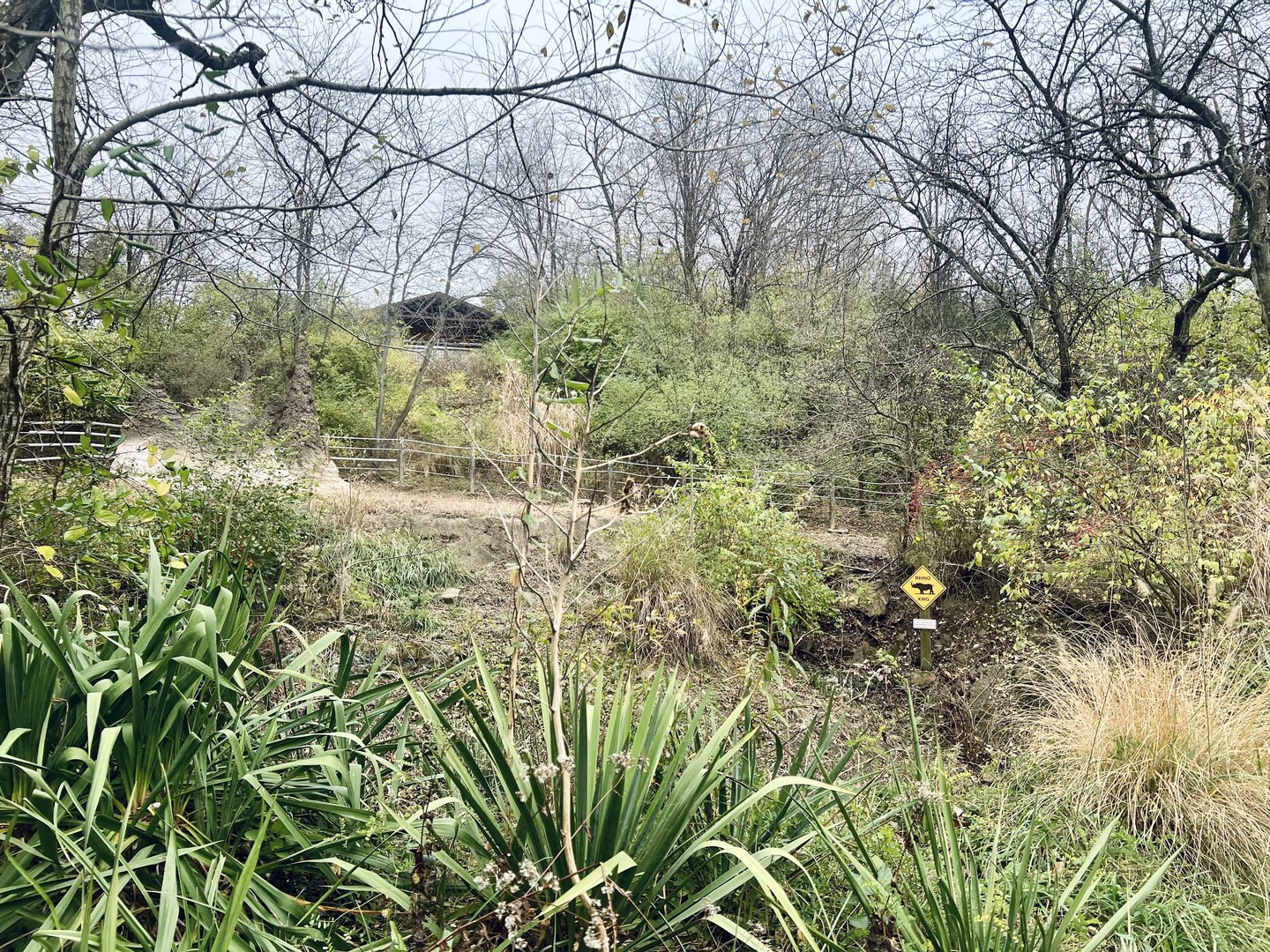Black Rhinoceros Exhibit