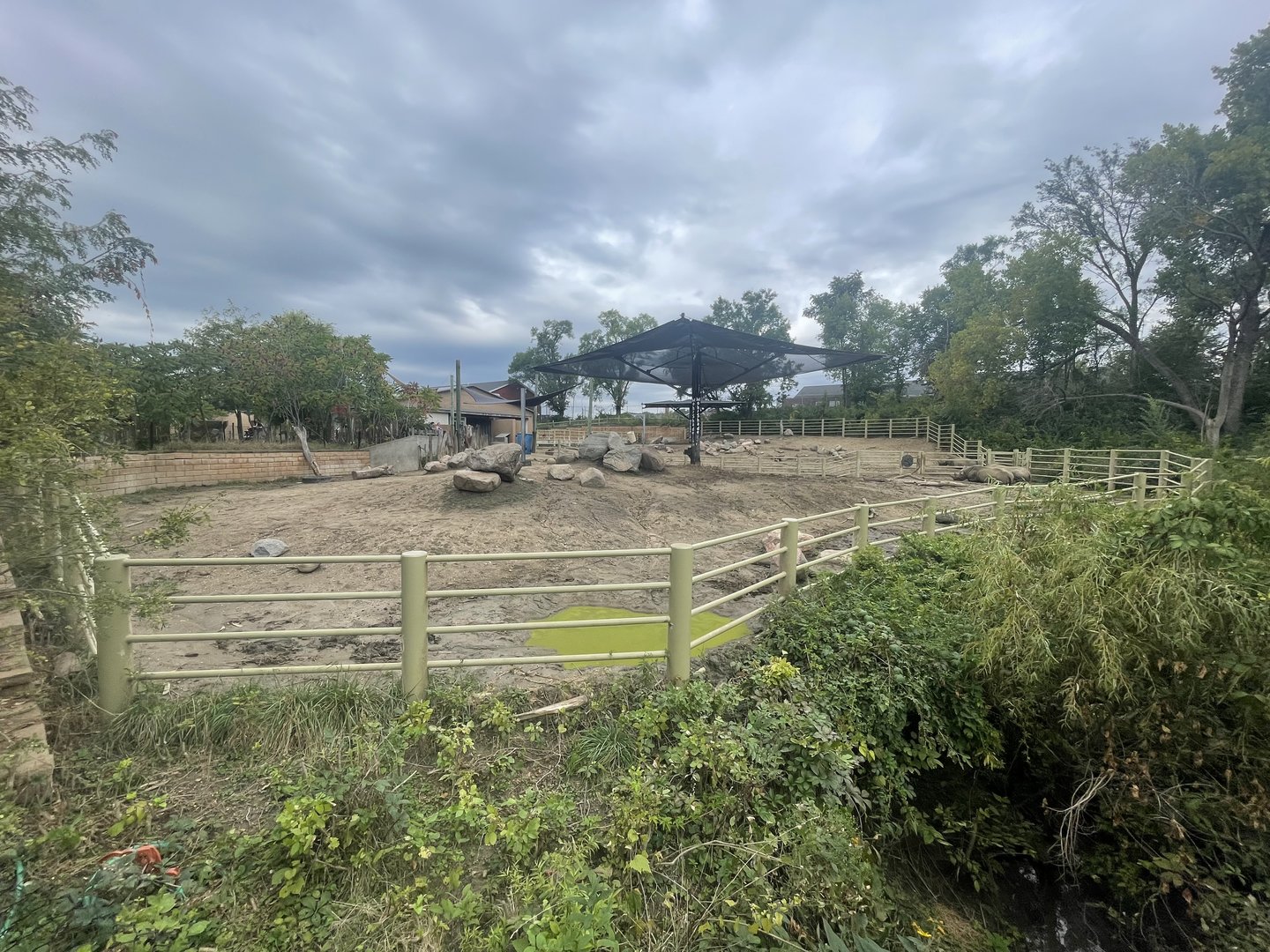 Black Rhinoceros Exhibit
