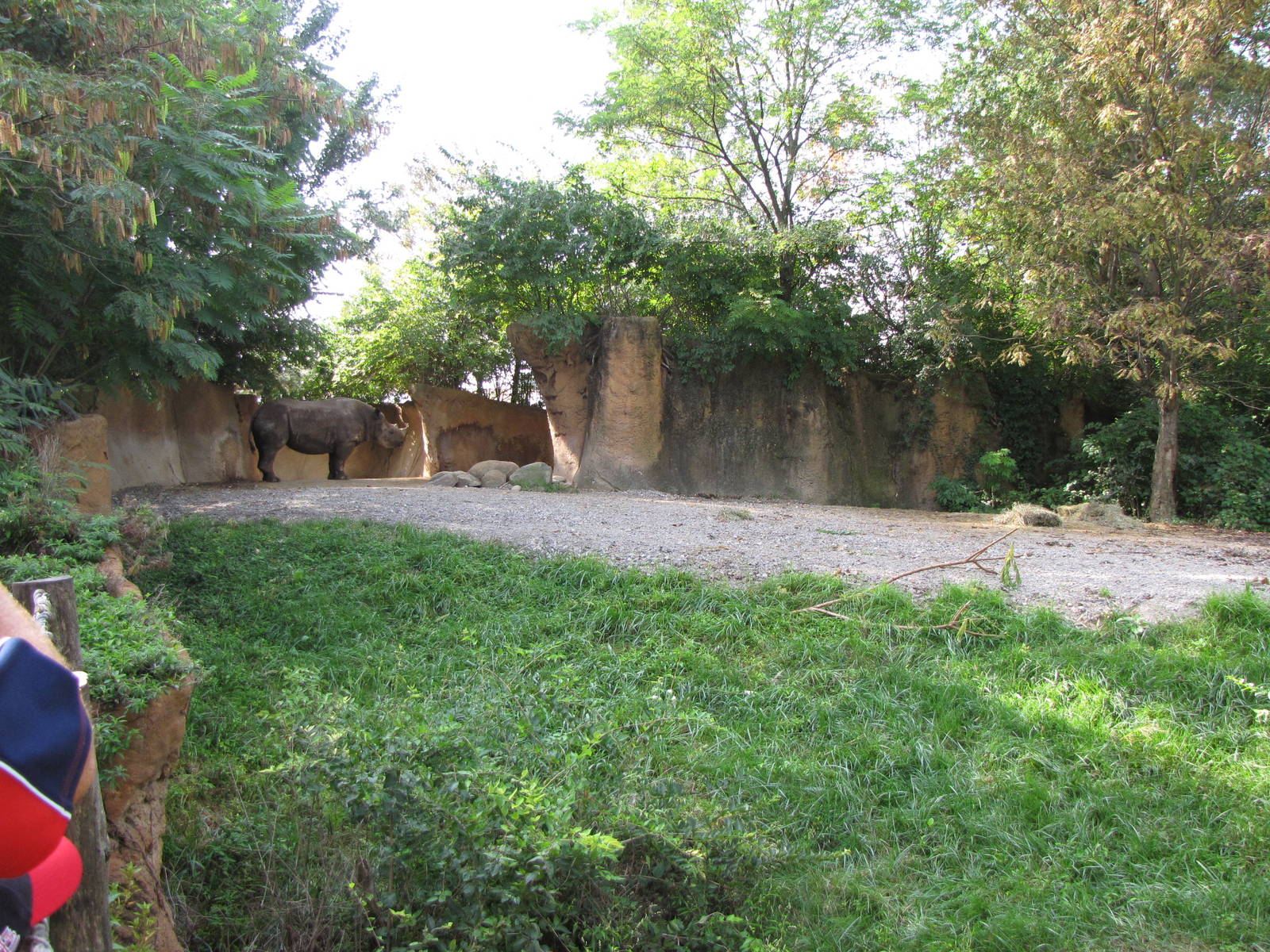 Black Rhinoceros Habitat