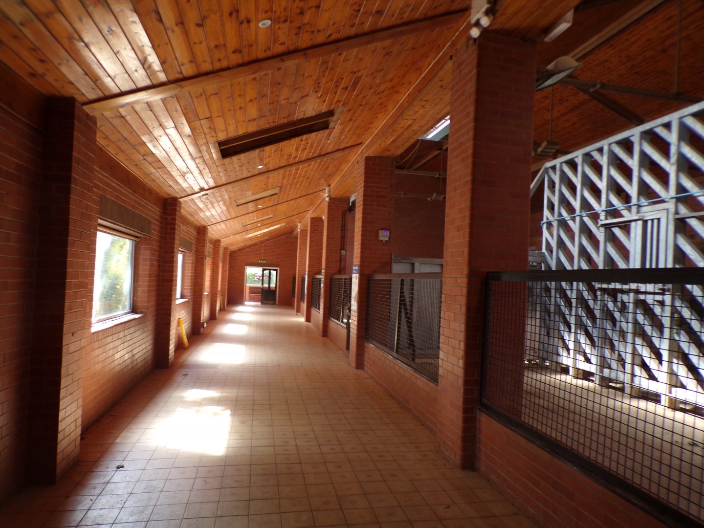 Black rhinoceros house  7.7.24